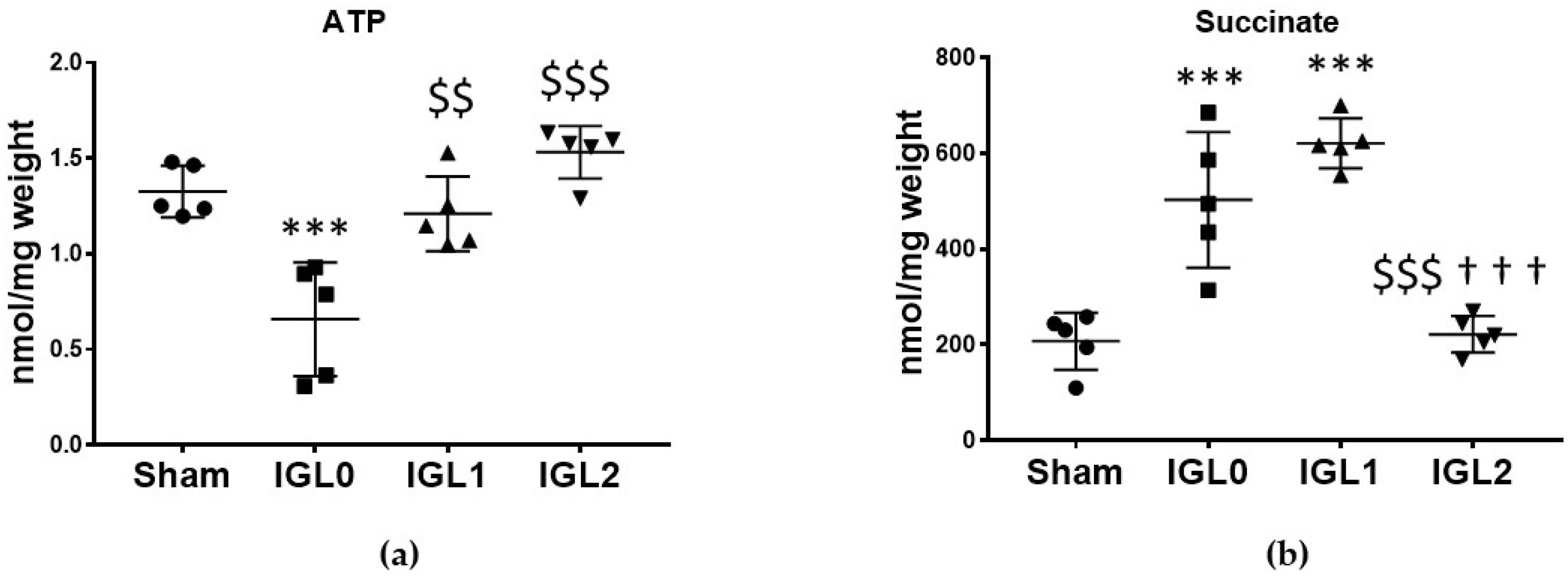 Antioxidants 11 00158 g001