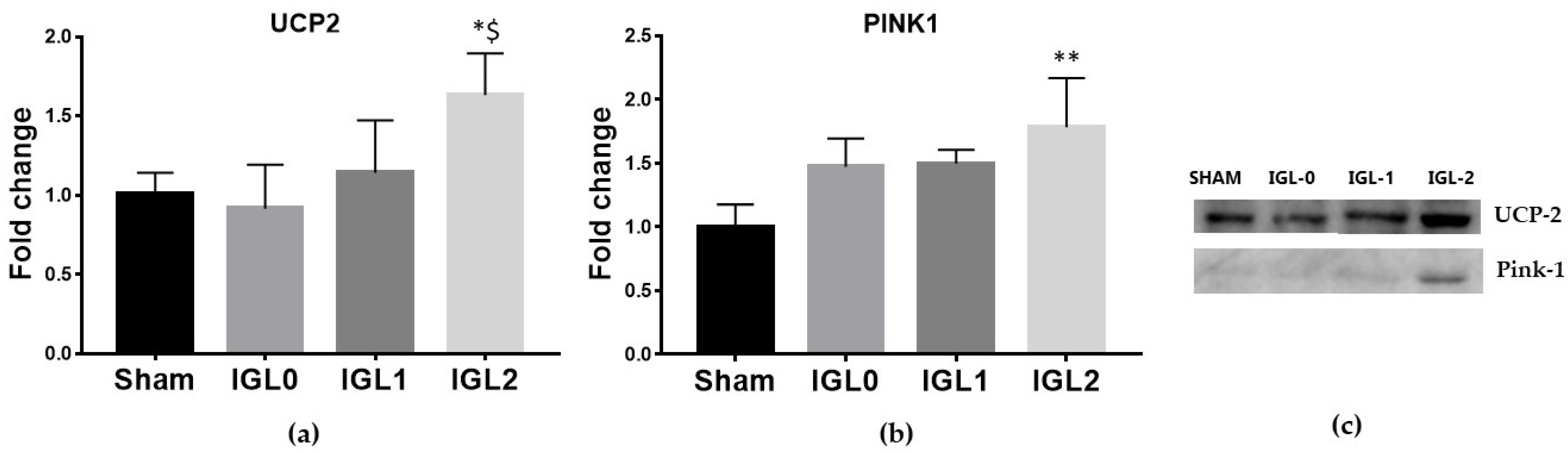 Antioxidants 11 00158 g003