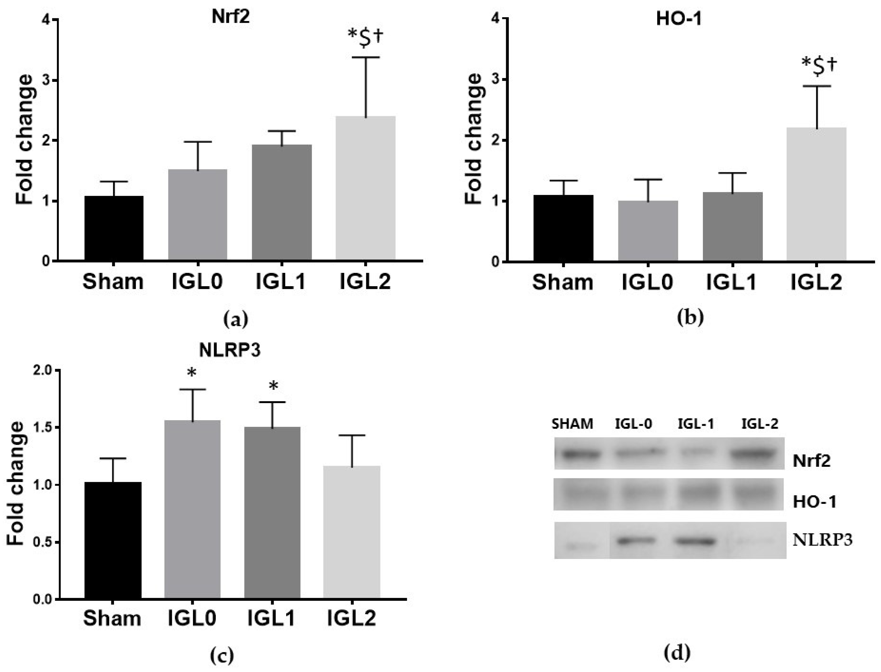 Antioxidants 11 00158 g004