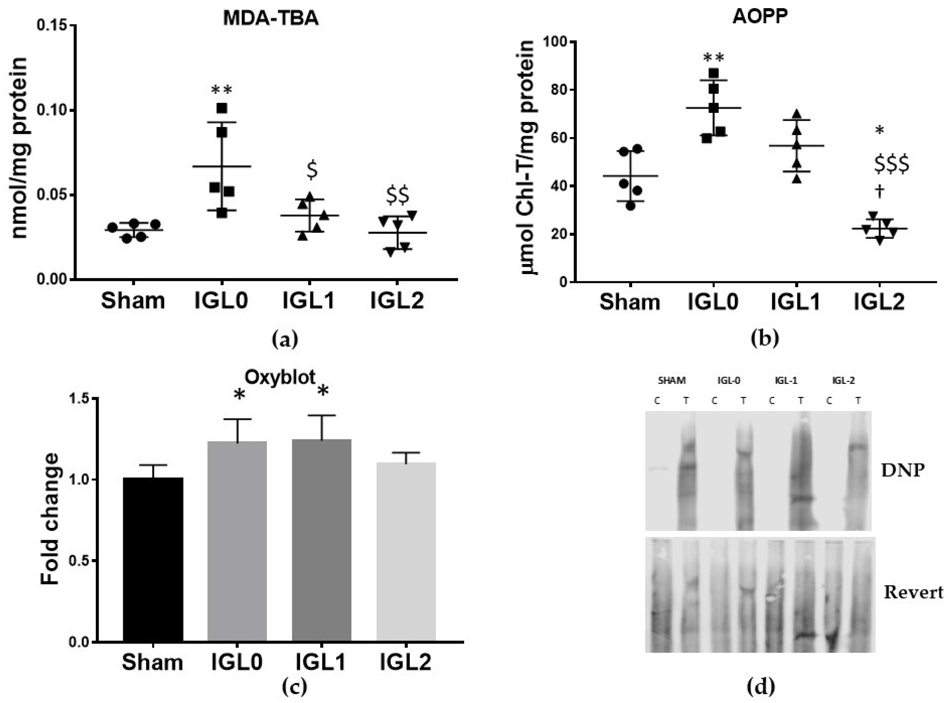 Antioxidants 11 00158 g005
