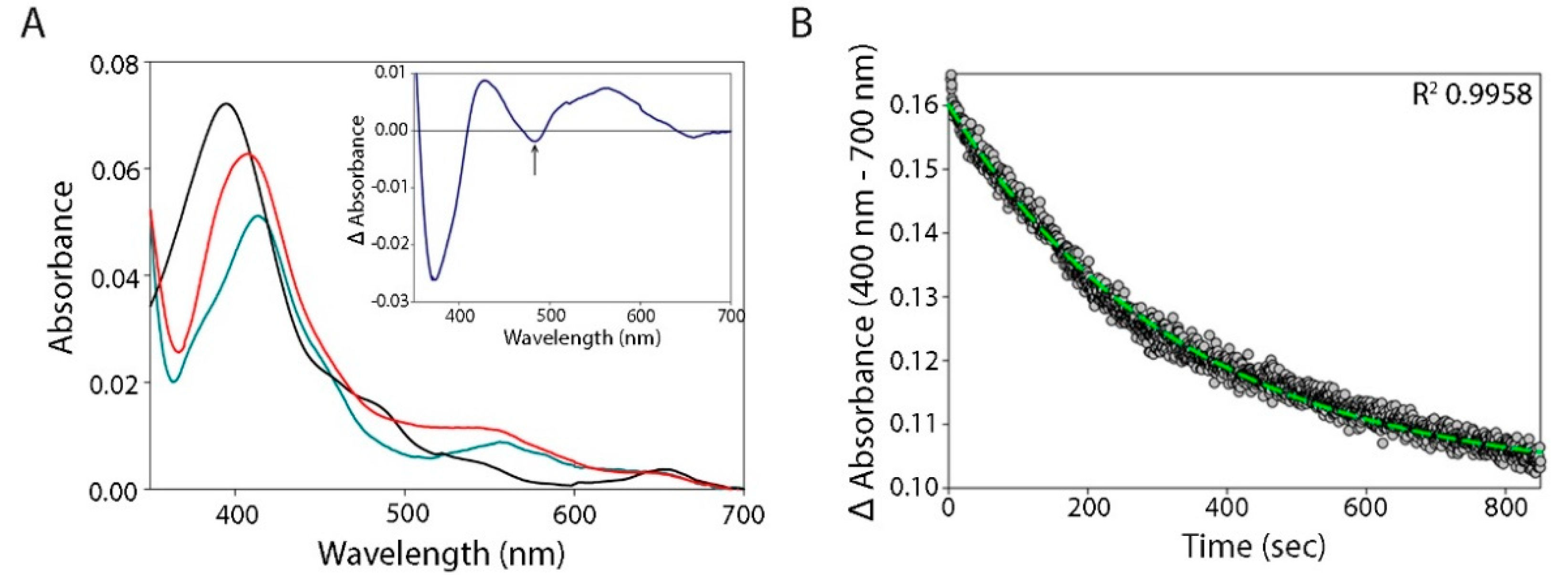 Antioxidants 11 00159 g002