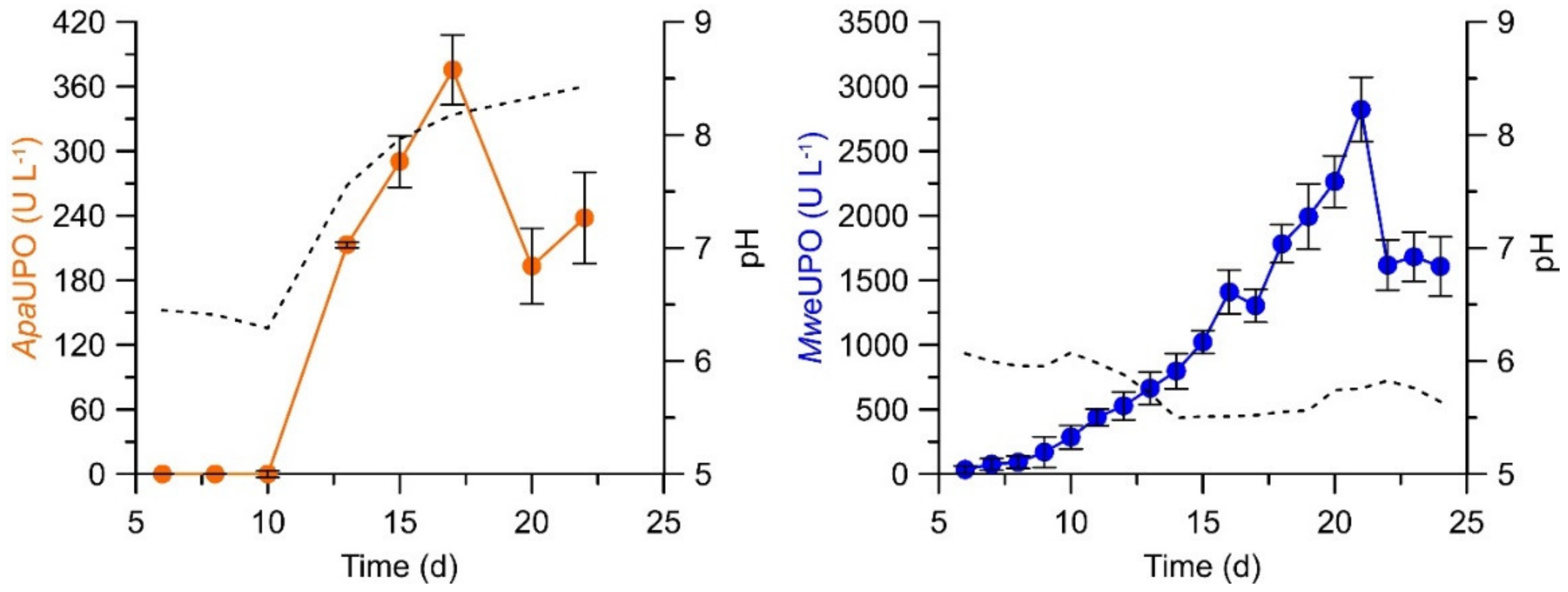 Antioxidants 11 00163 g001
