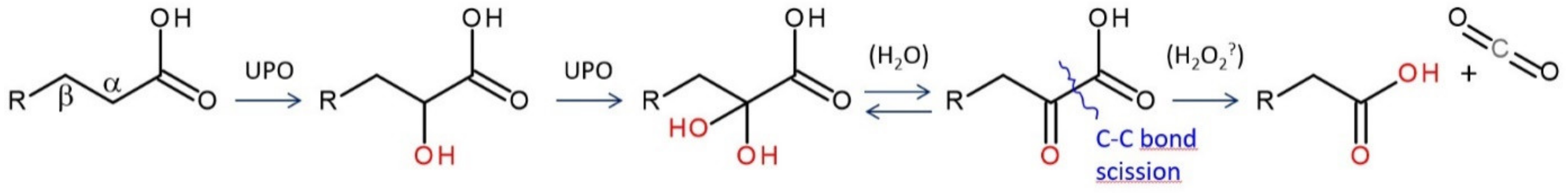 Antioxidants 11 00163 g007
