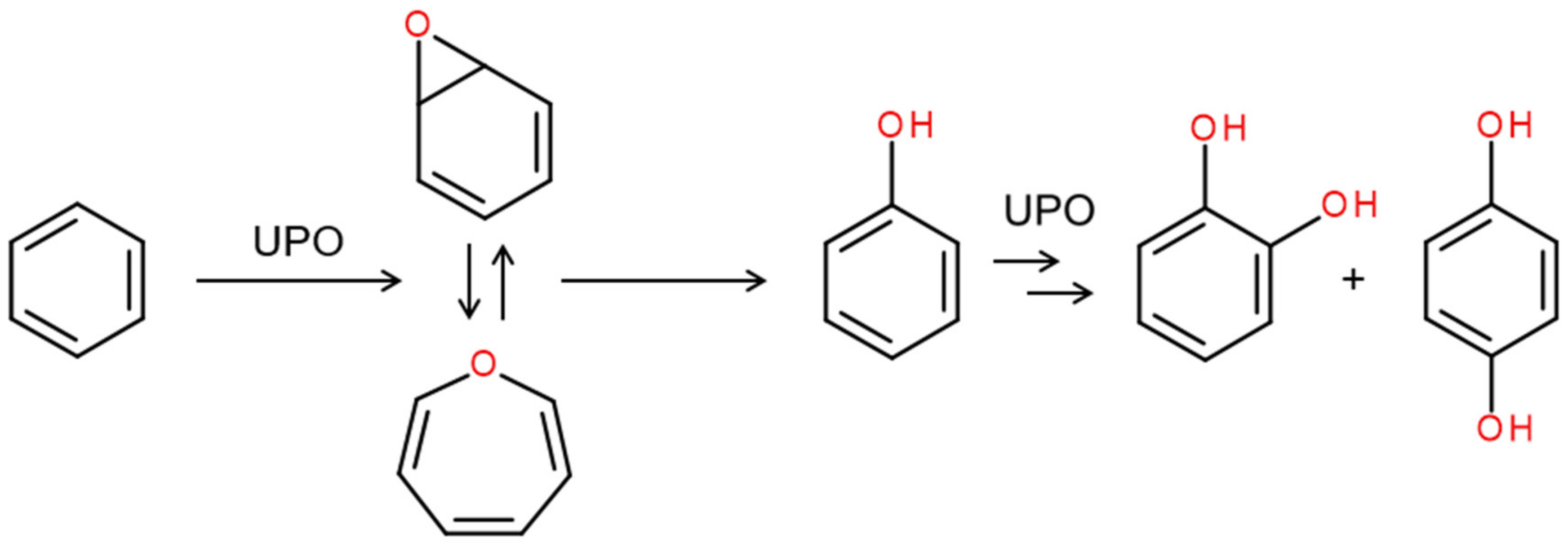 Antioxidants 11 00163 g009