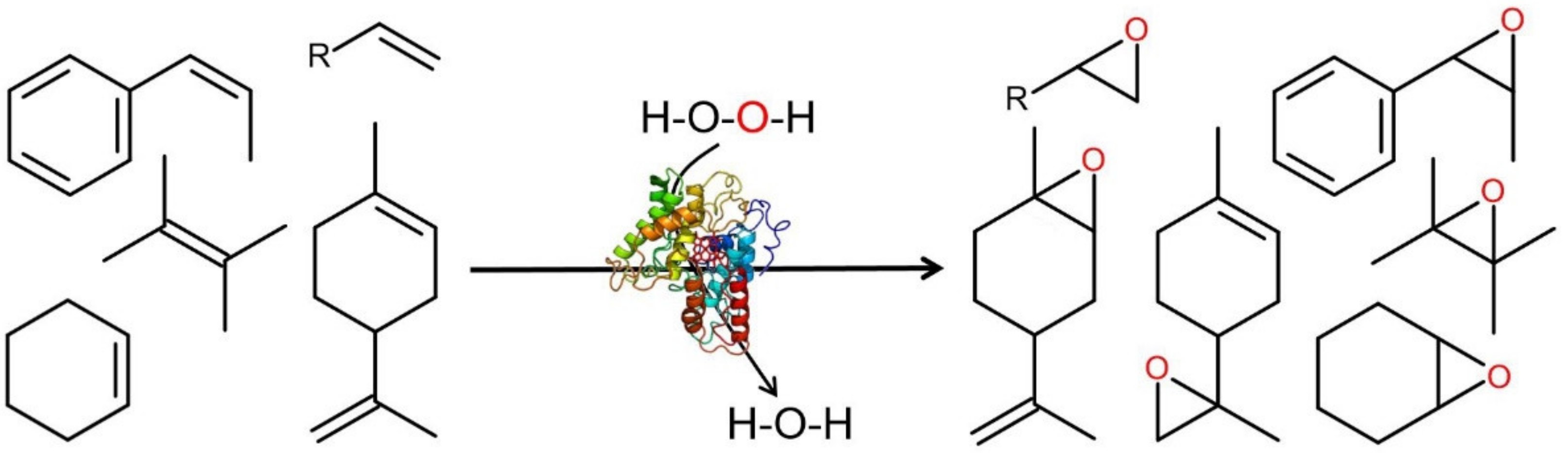 Antioxidants 11 00163 g010