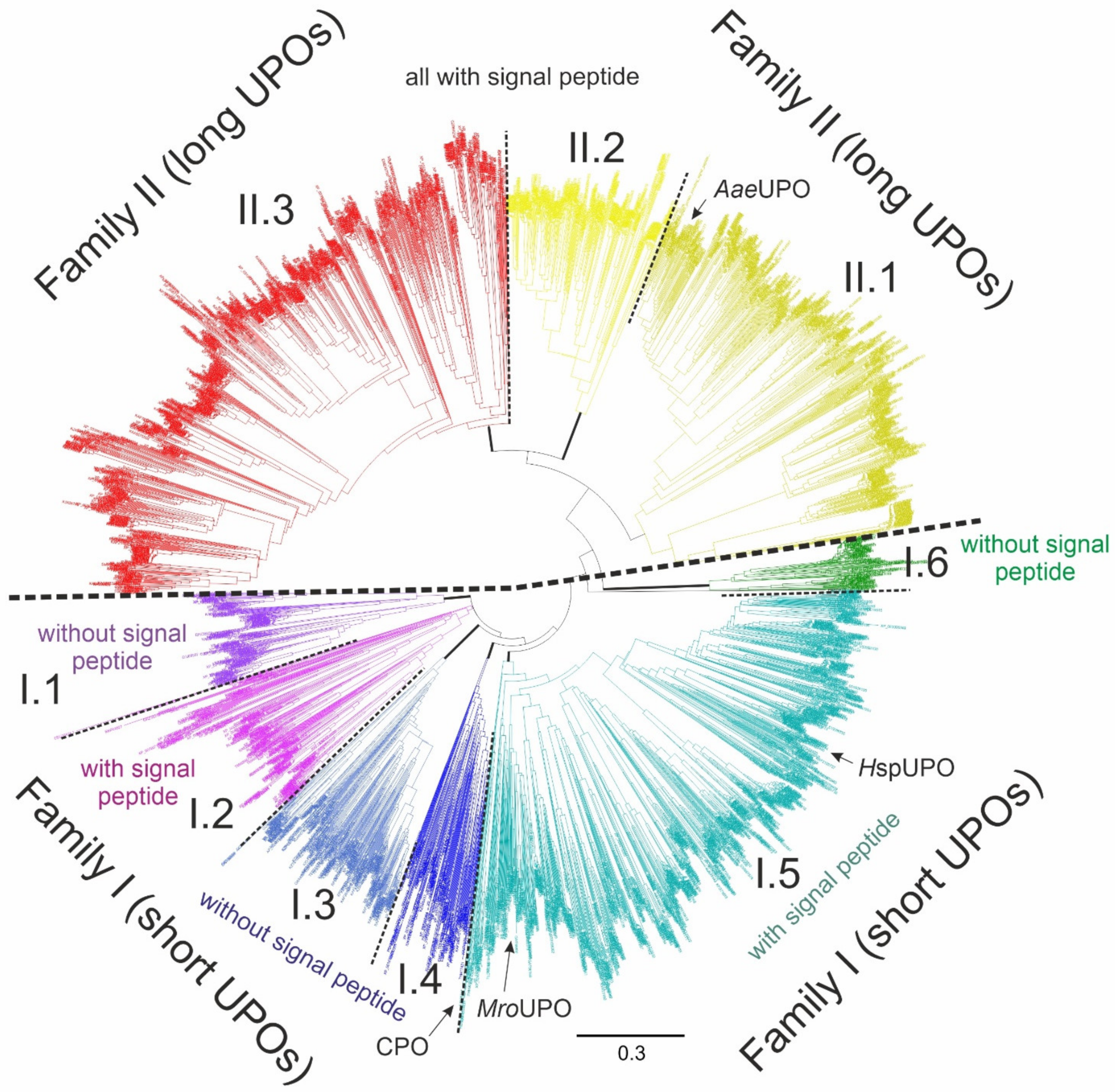 Antioxidants 11 00163 g012