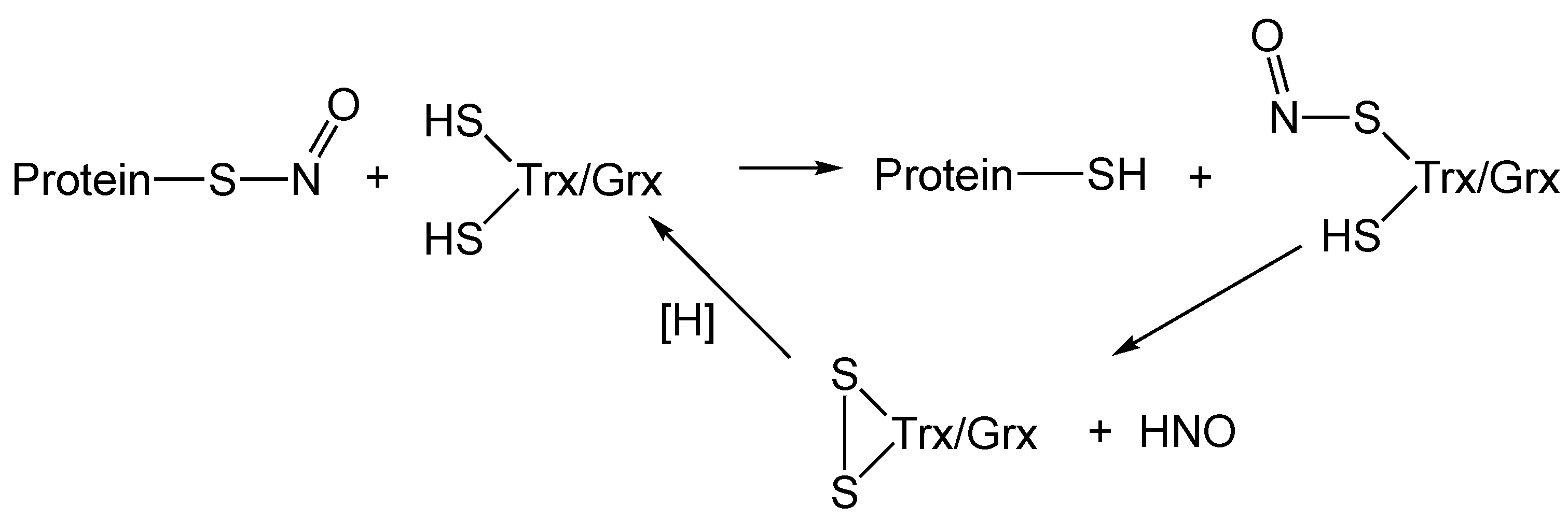 Antioxidants 11 00169 g002