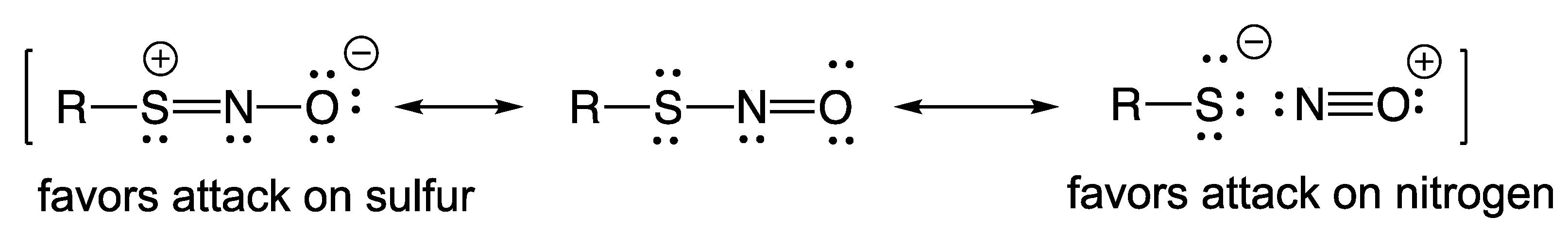Antioxidants 11 00169 g003