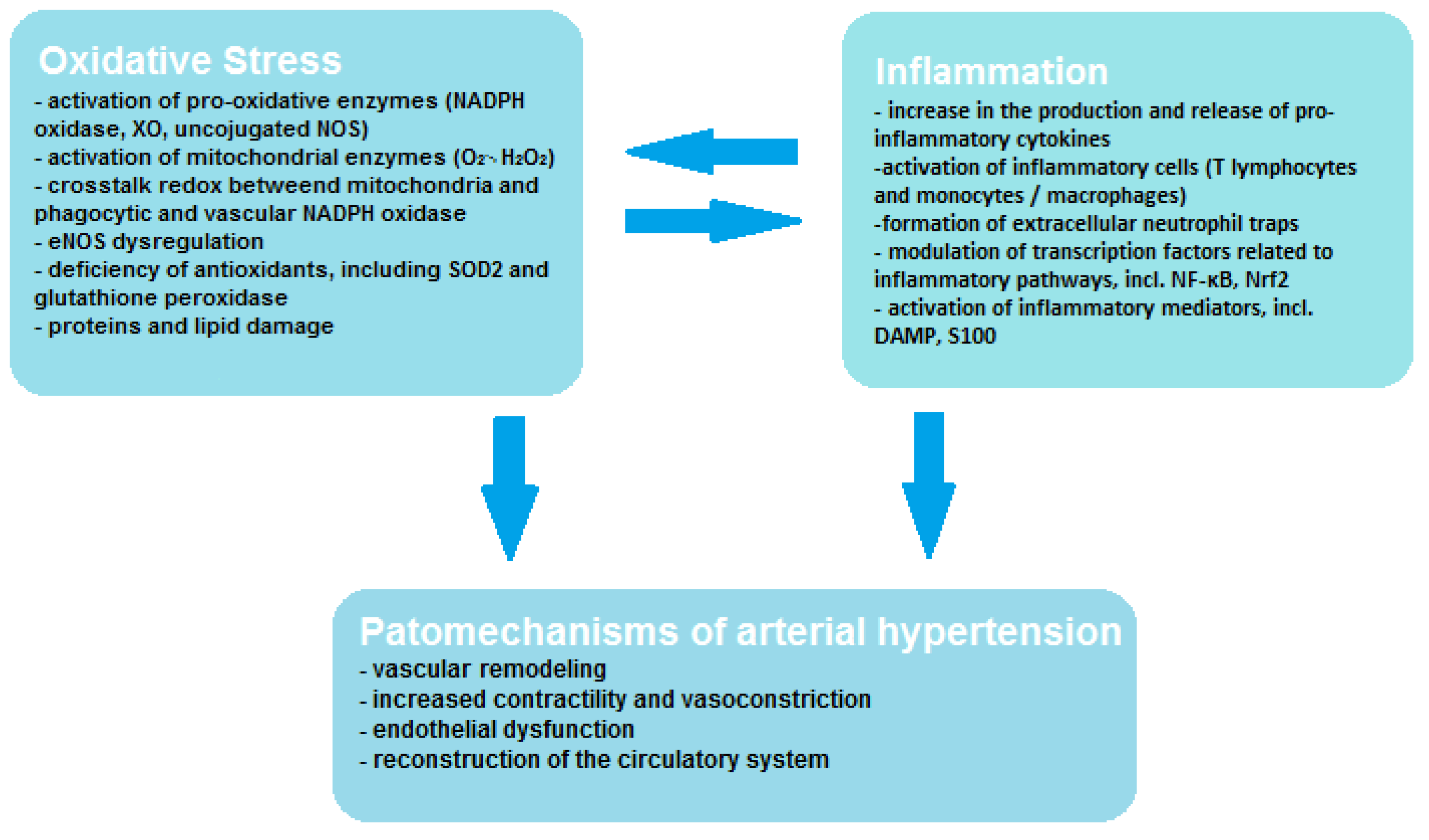 Antioxidants 11 00172 g001