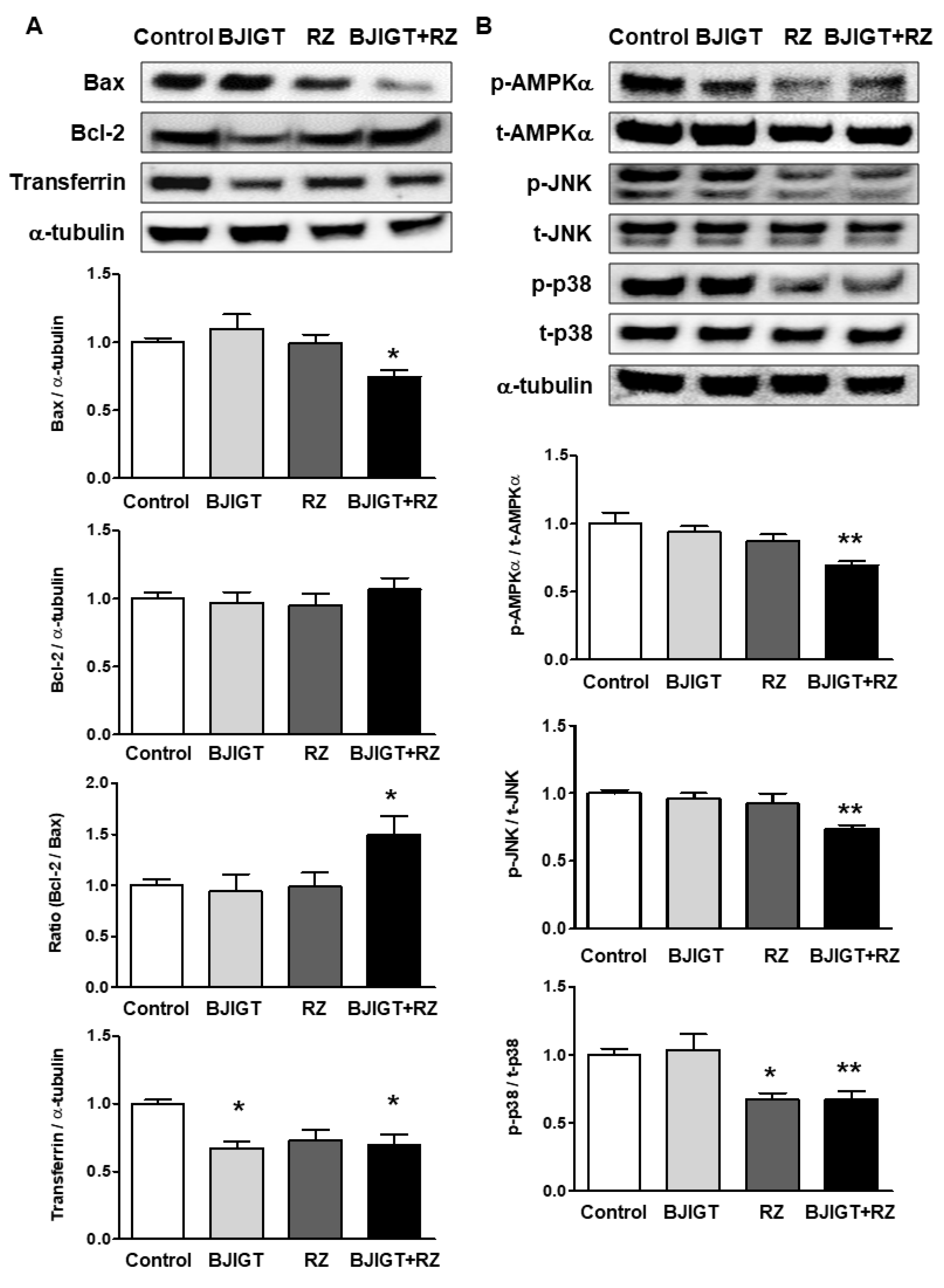 Antioxidants 11 00173 g005