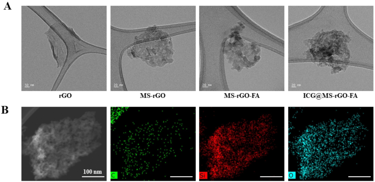Antioxidants 11 00174 g001