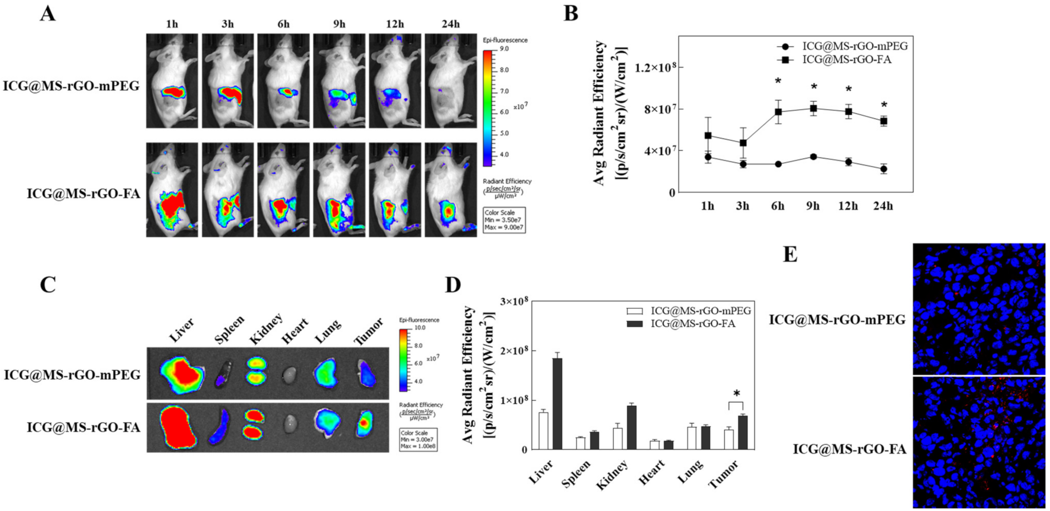 Antioxidants 11 00174 g006