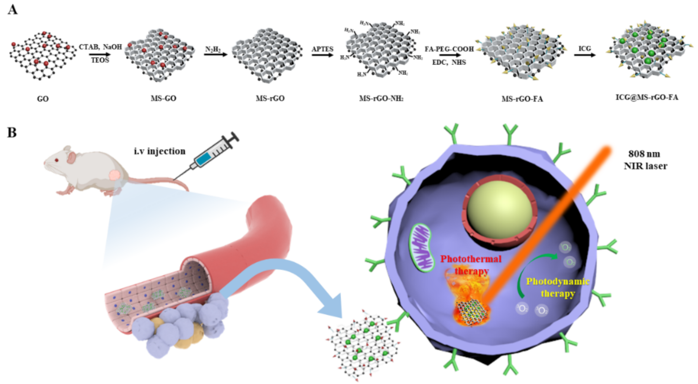Antioxidants 11 00174 sch001