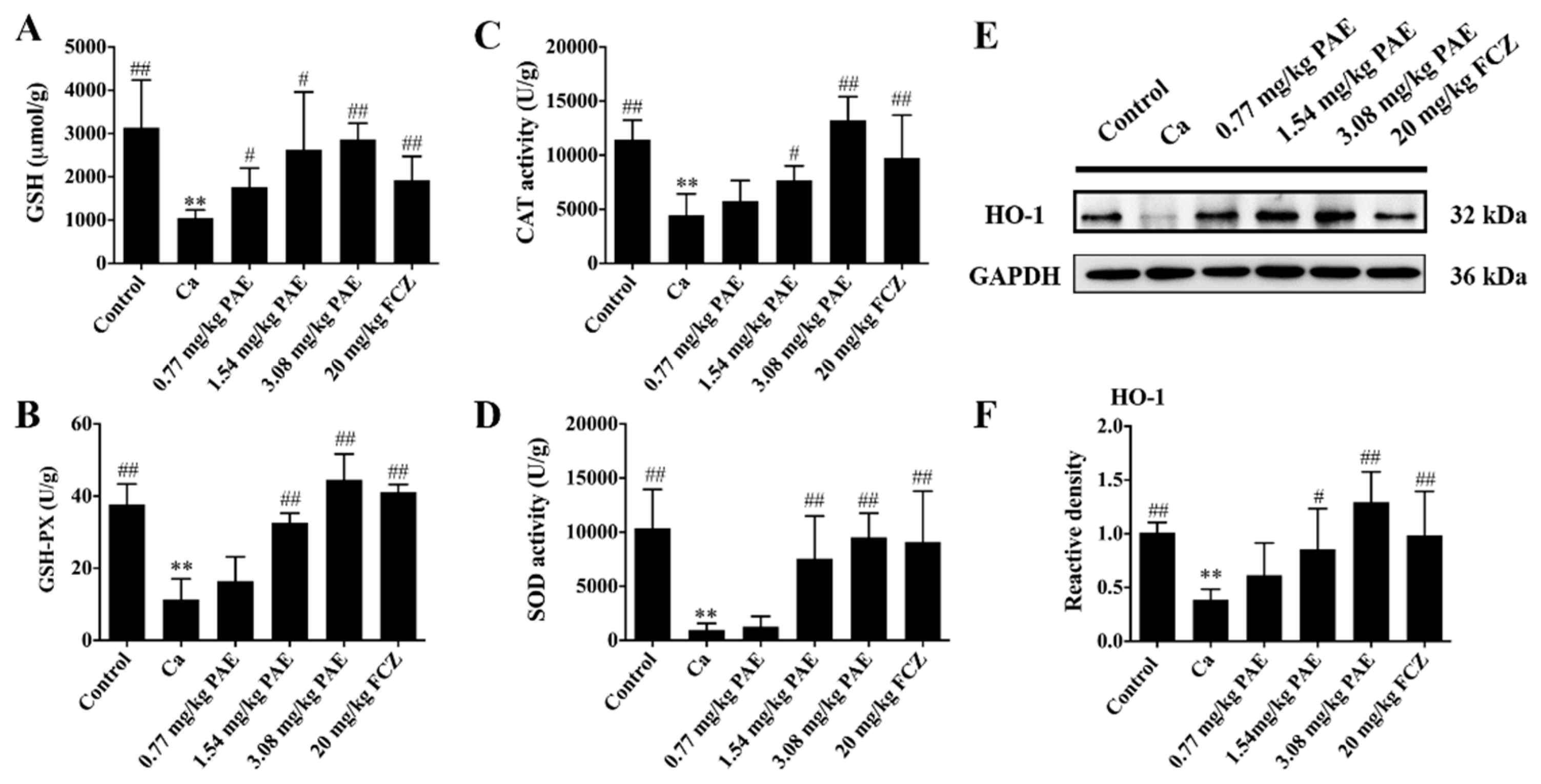Antioxidants 11 00178 g002