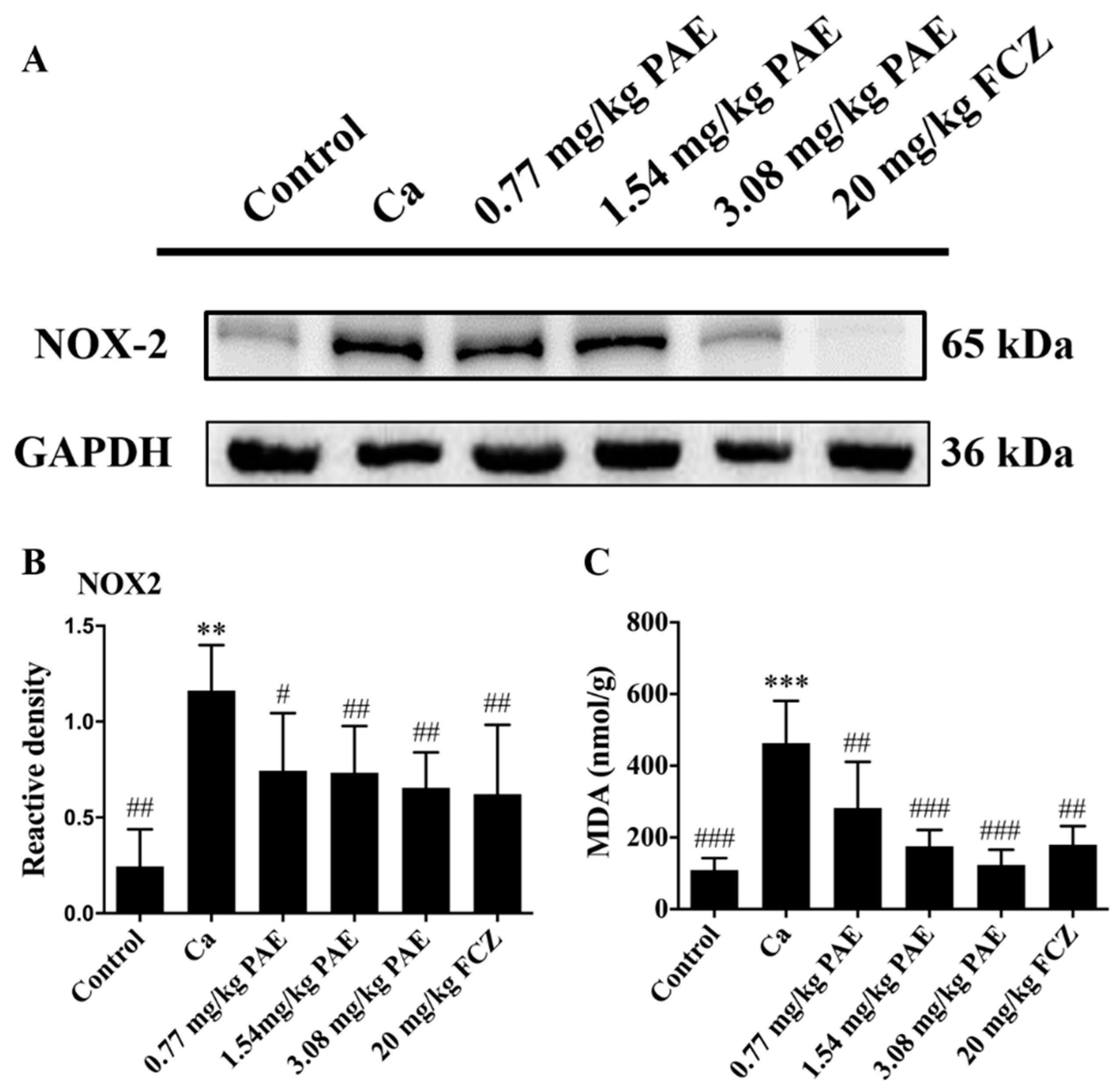 Antioxidants 11 00178 g003