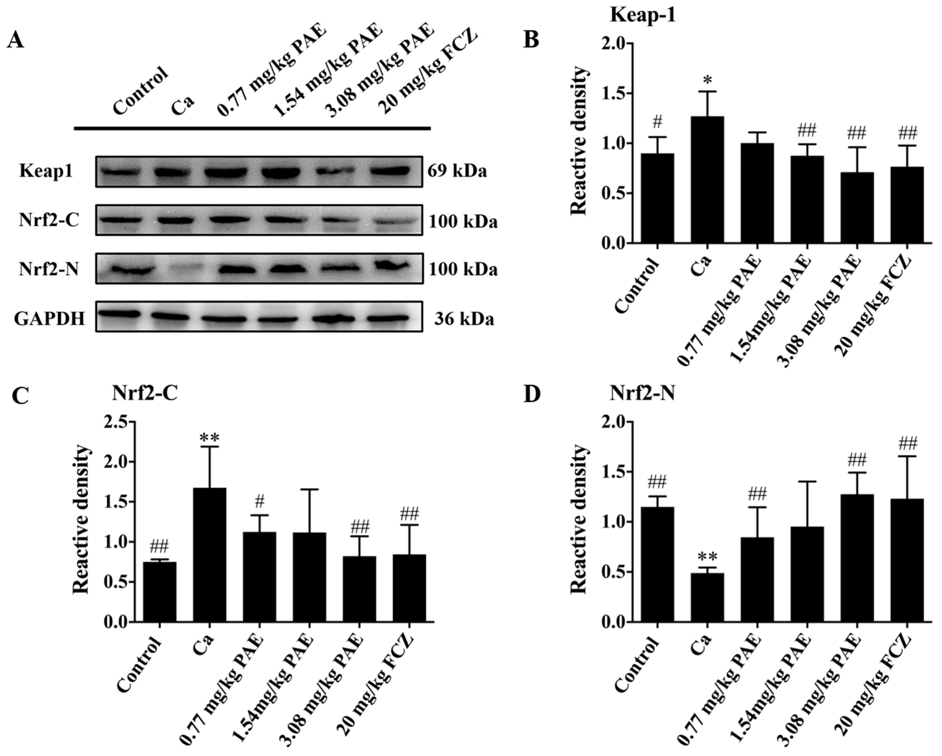 Antioxidants 11 00178 g004
