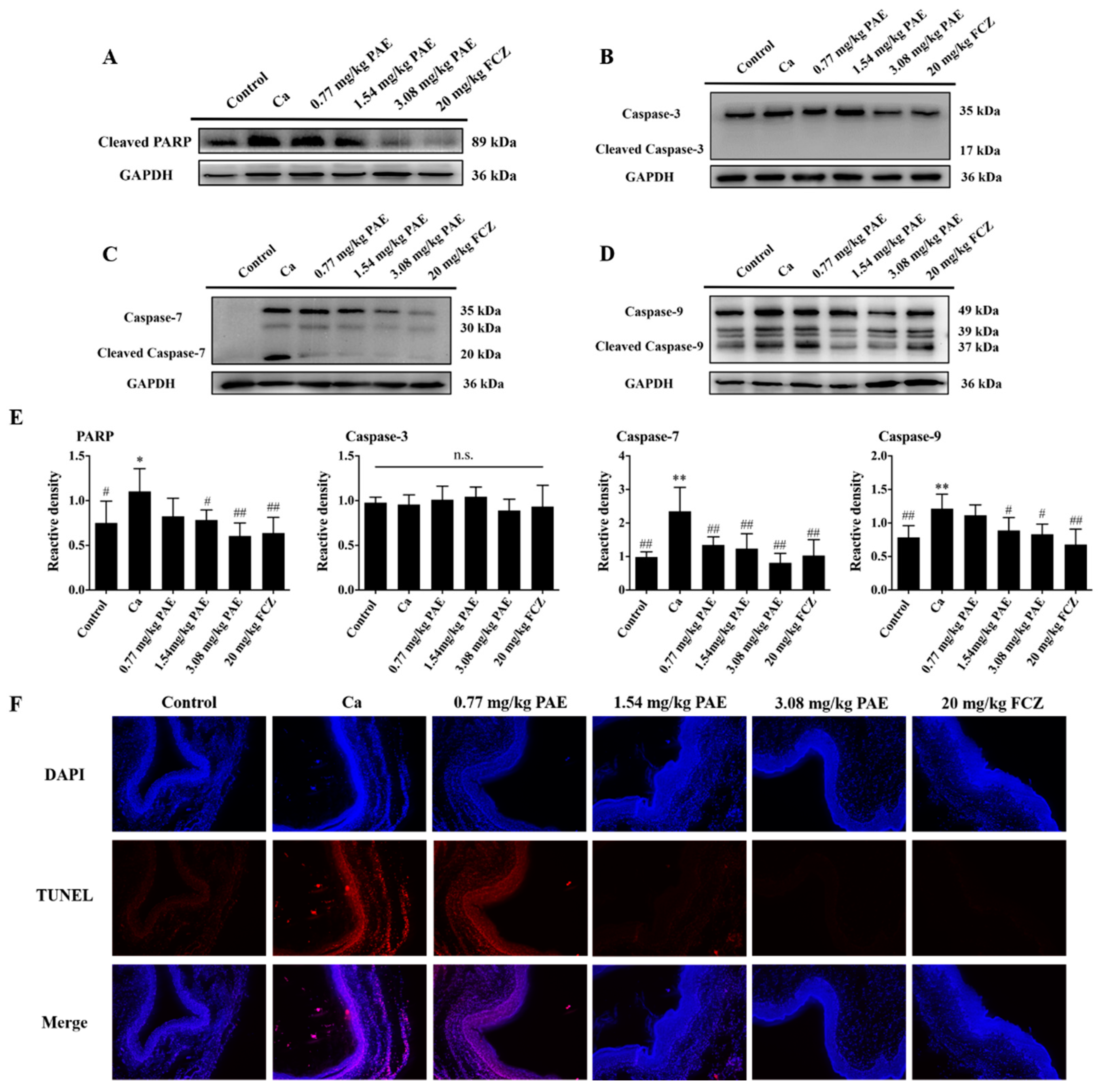 Antioxidants 11 00178 g006
