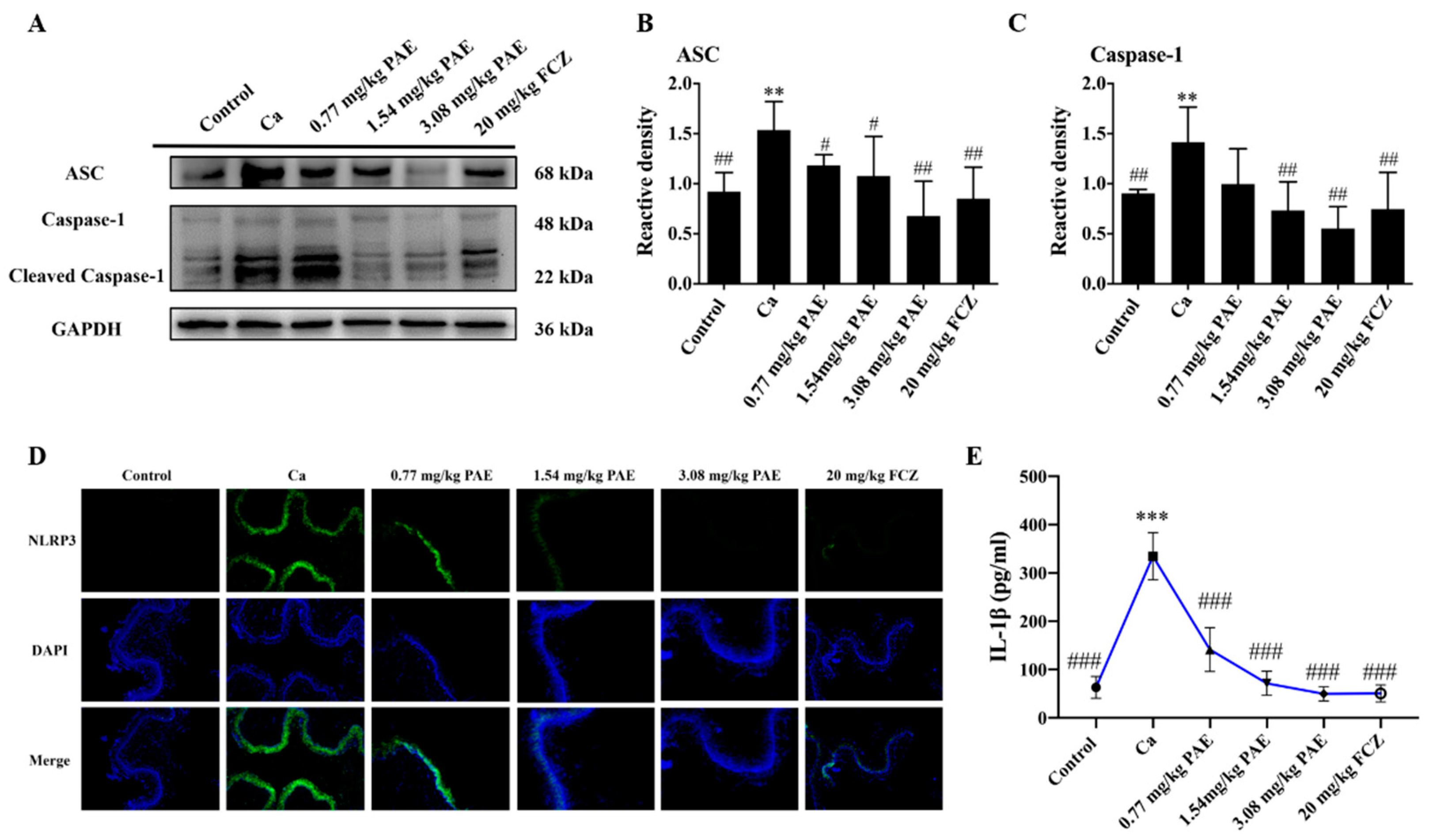 Antioxidants 11 00178 g007