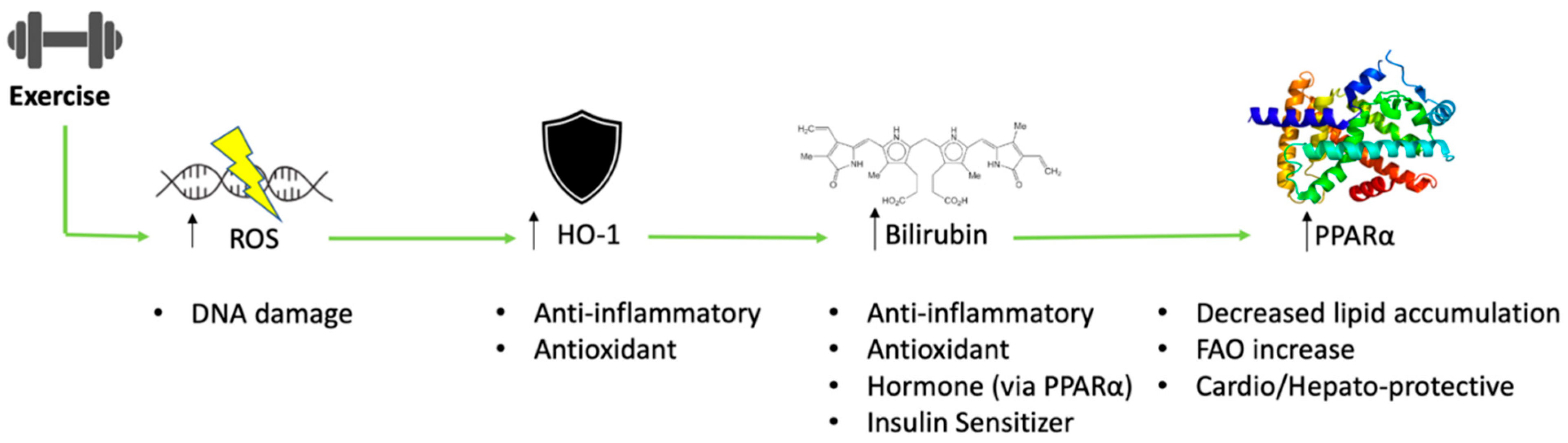 Antioxidants 11 00179 g001 Antioxidants 11 00179 g001