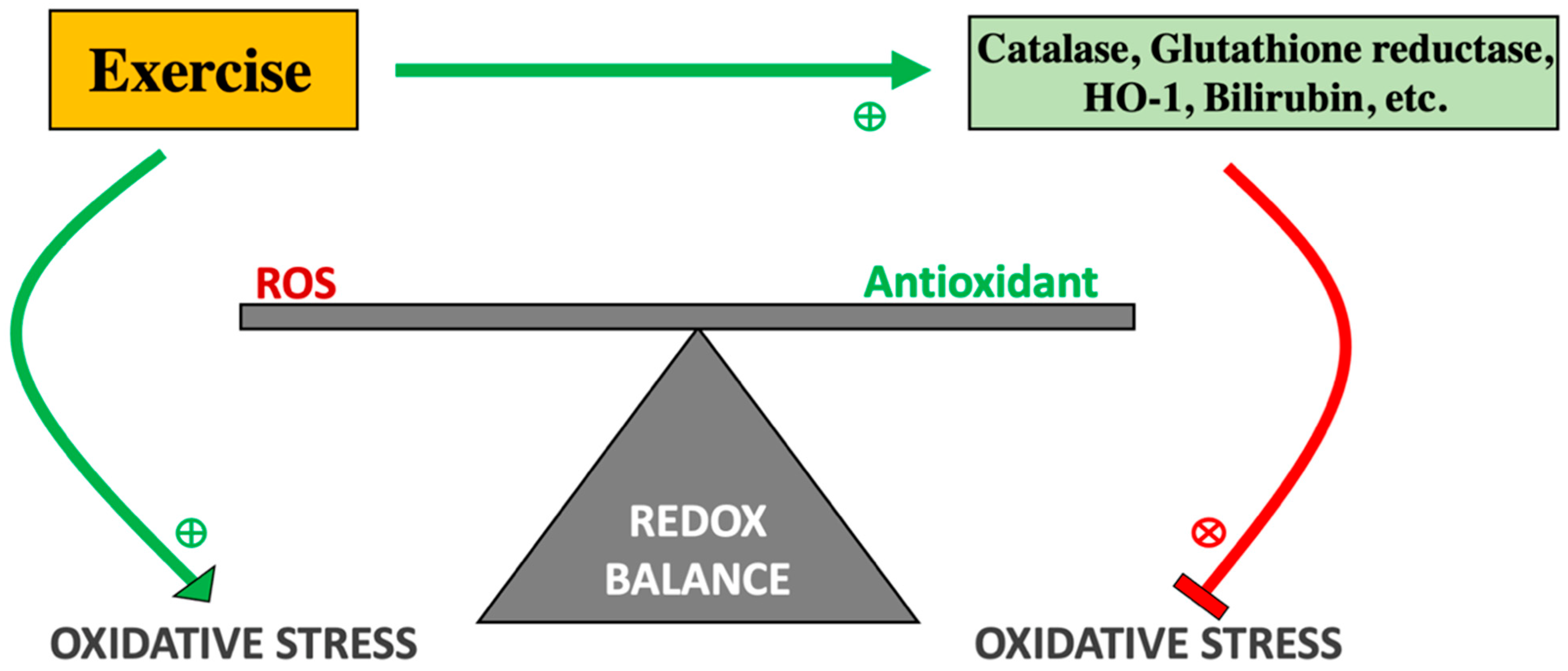 Antioxidants 11 00179 g003 Antioxidants 11 00179 g003