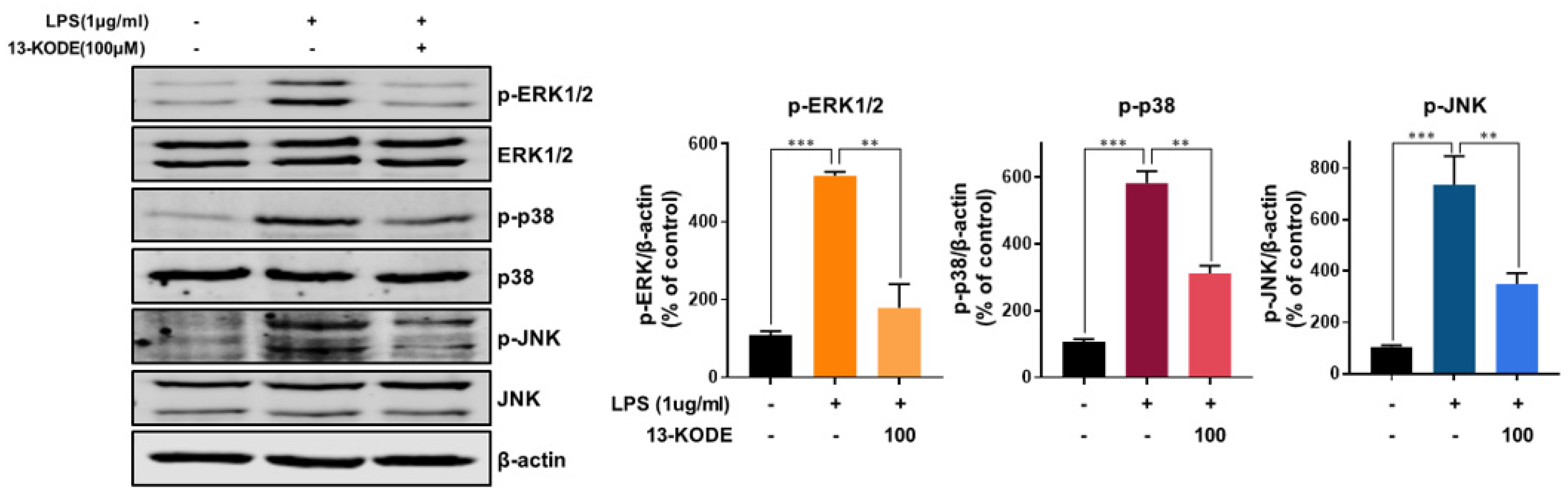 Antioxidants 11 00180 g005