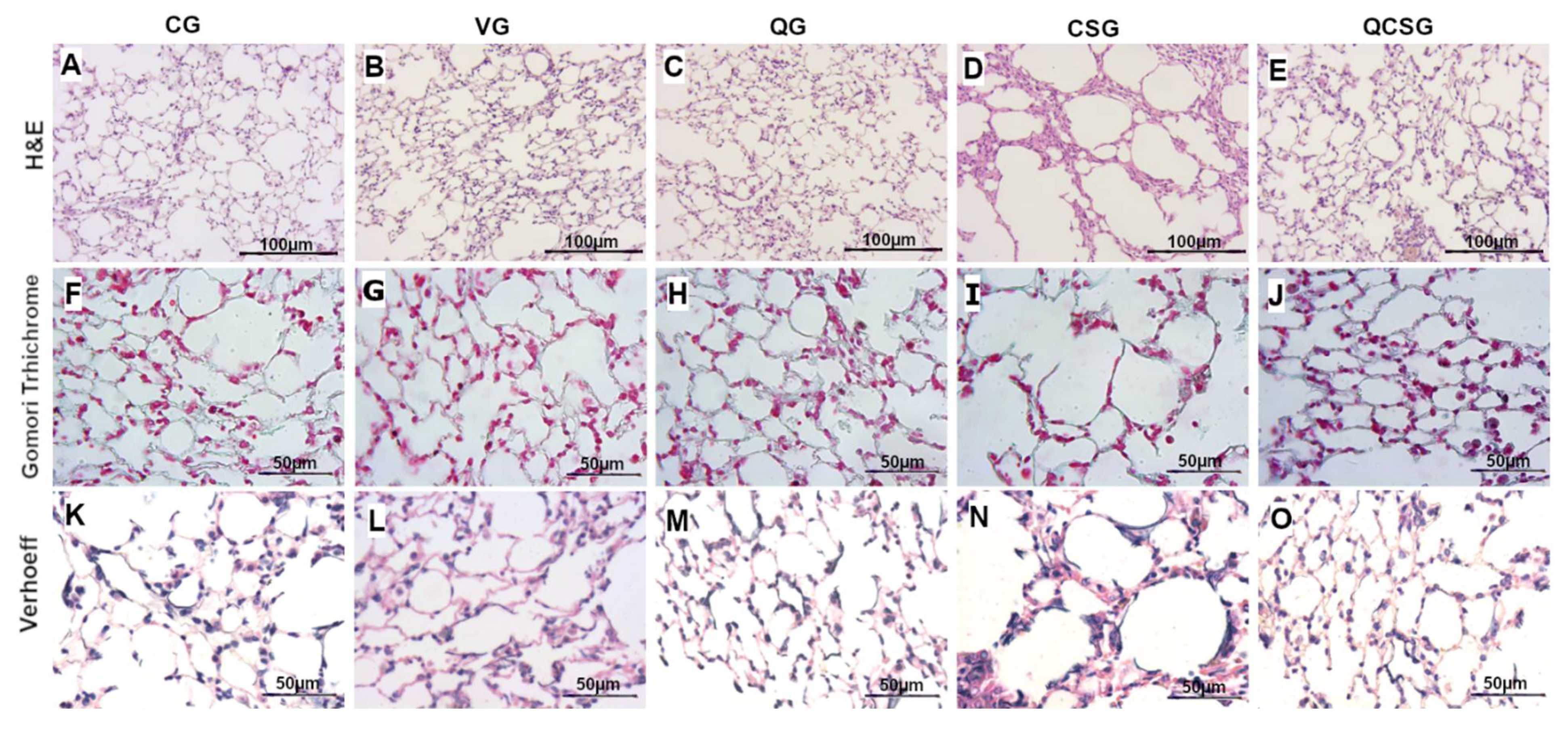 Antioxidants 11 00181 g002