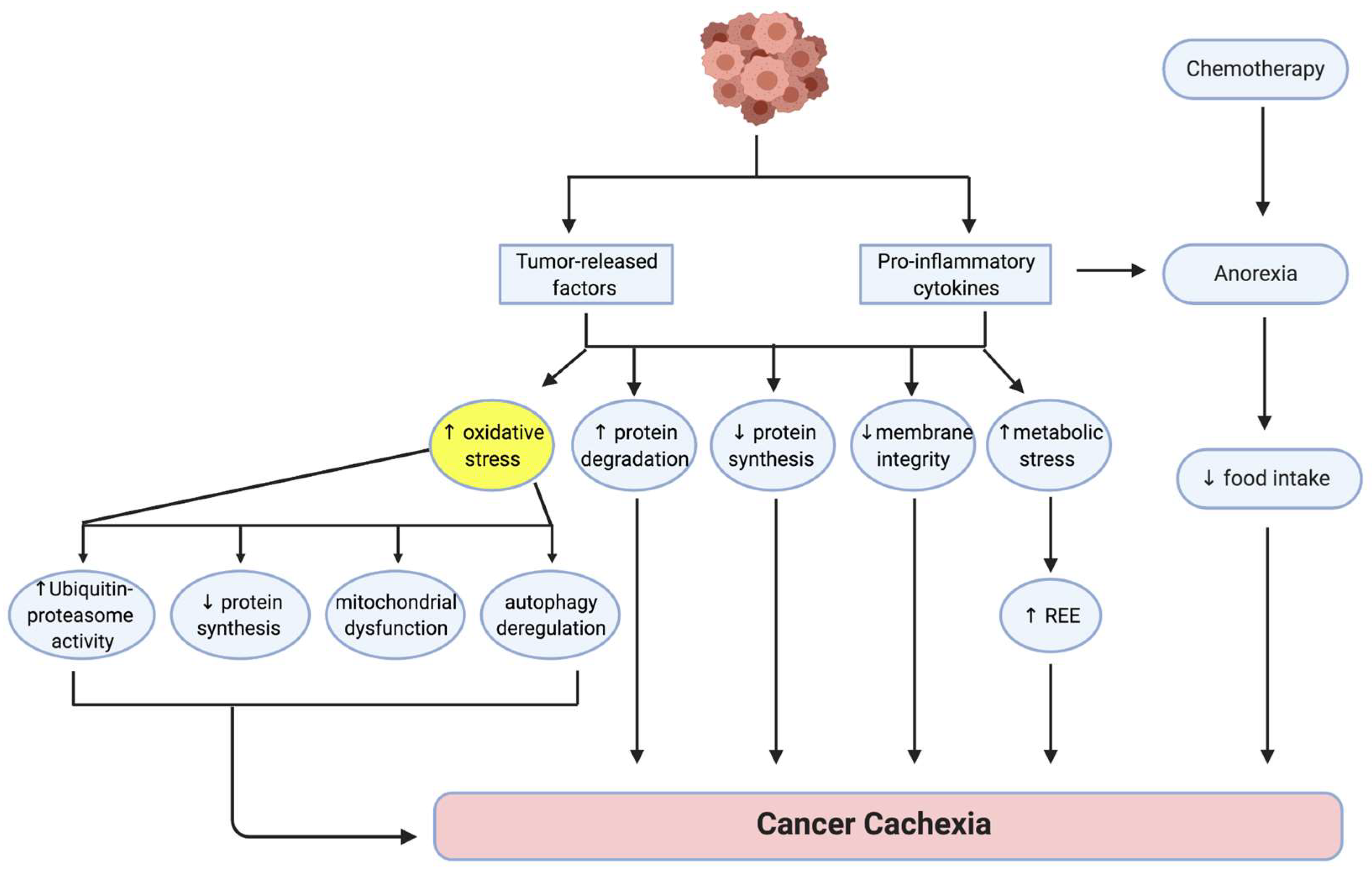 Antioxidants 11 00183 g001
