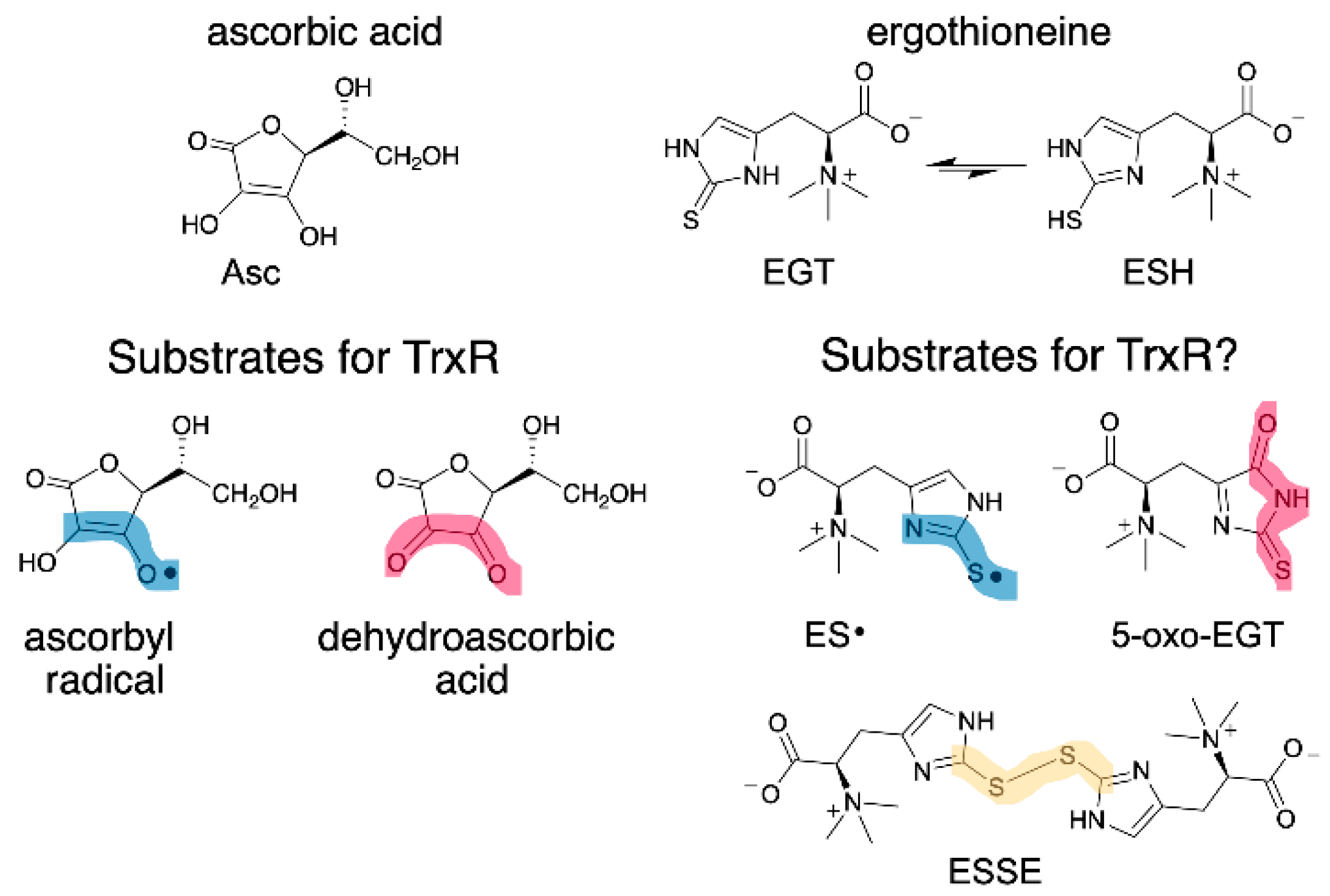 Antioxidants 11 00185 g001