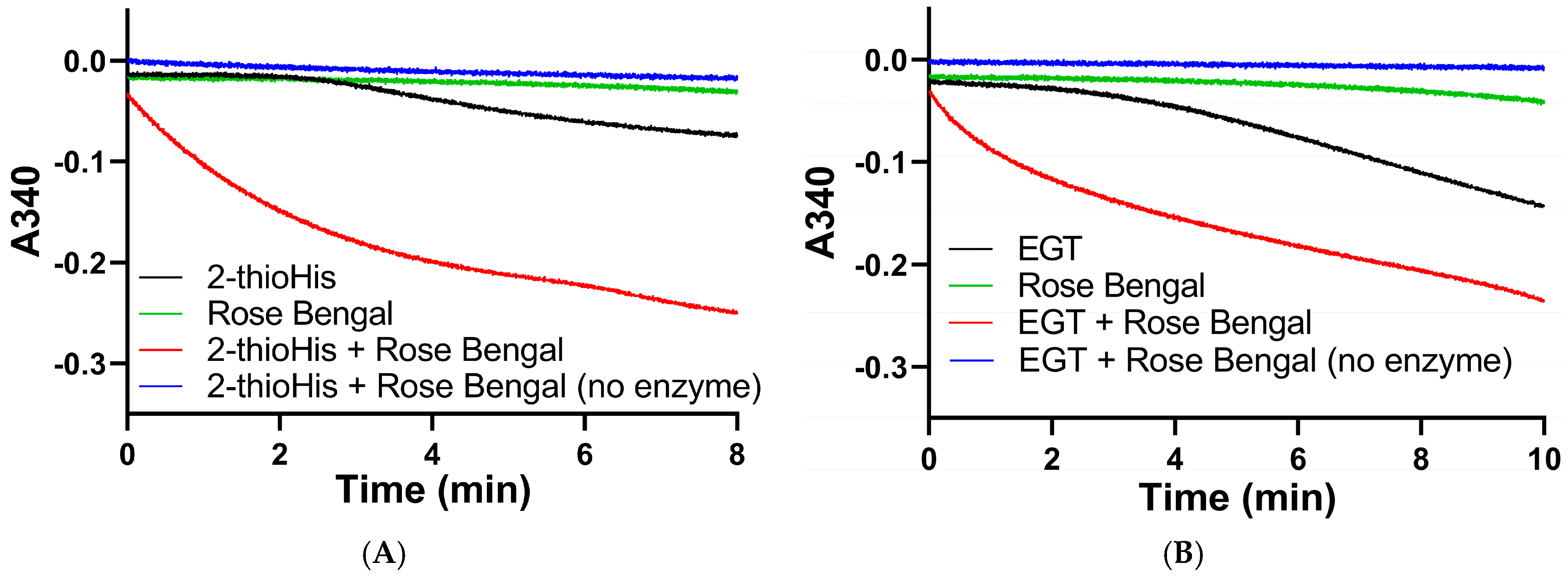 Antioxidants 11 00185 g010