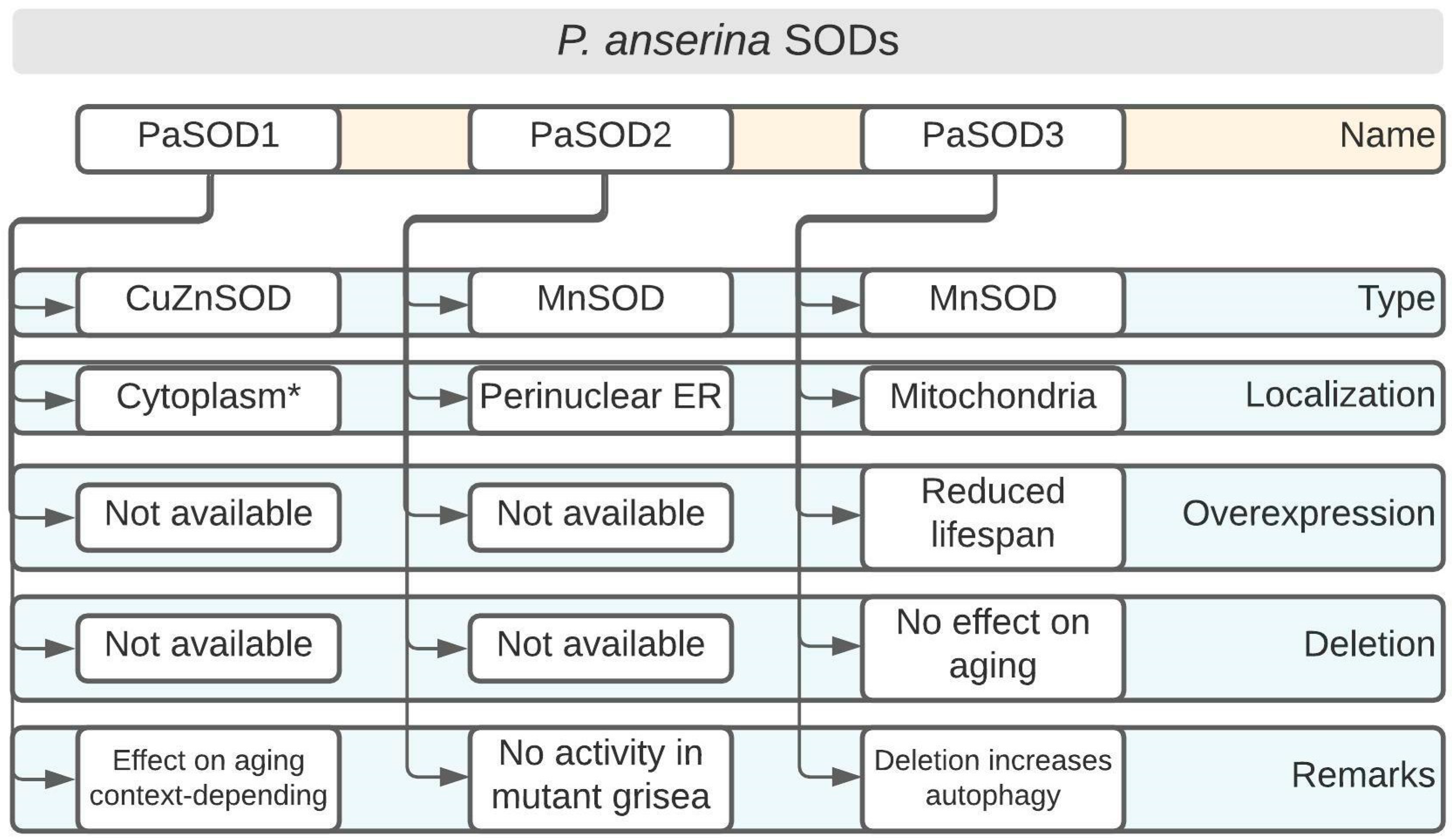 Antioxidants 11 00188 g002
