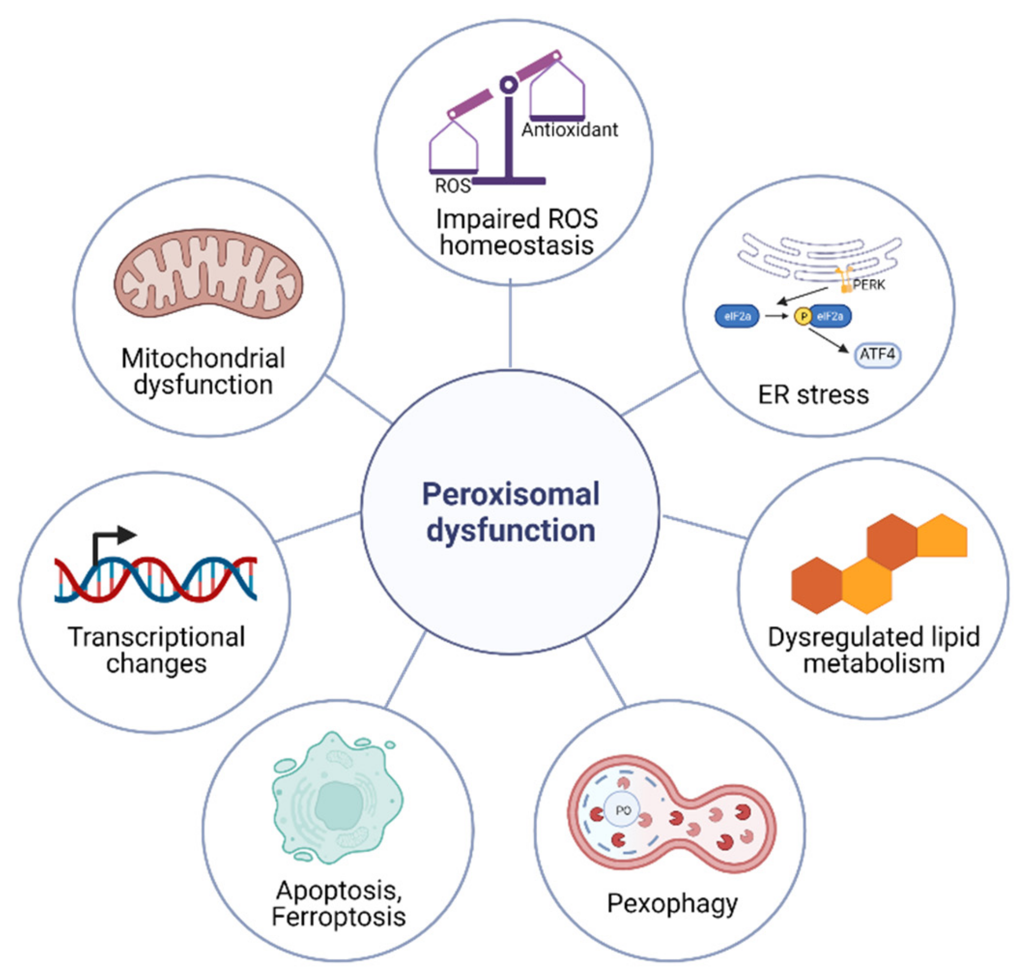 Antioxidants 11 00192 g001