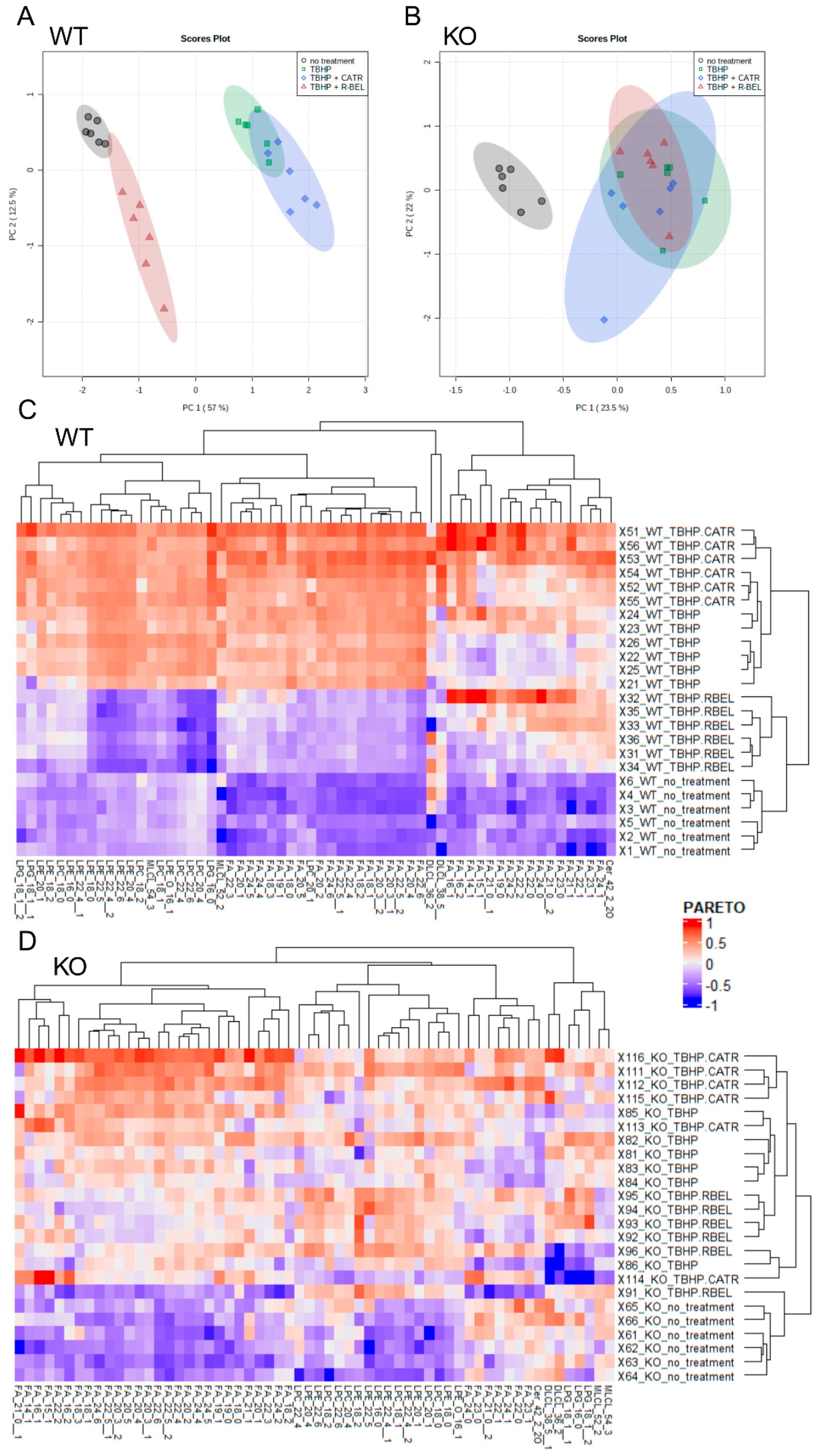 Antioxidants 11 00198 g003