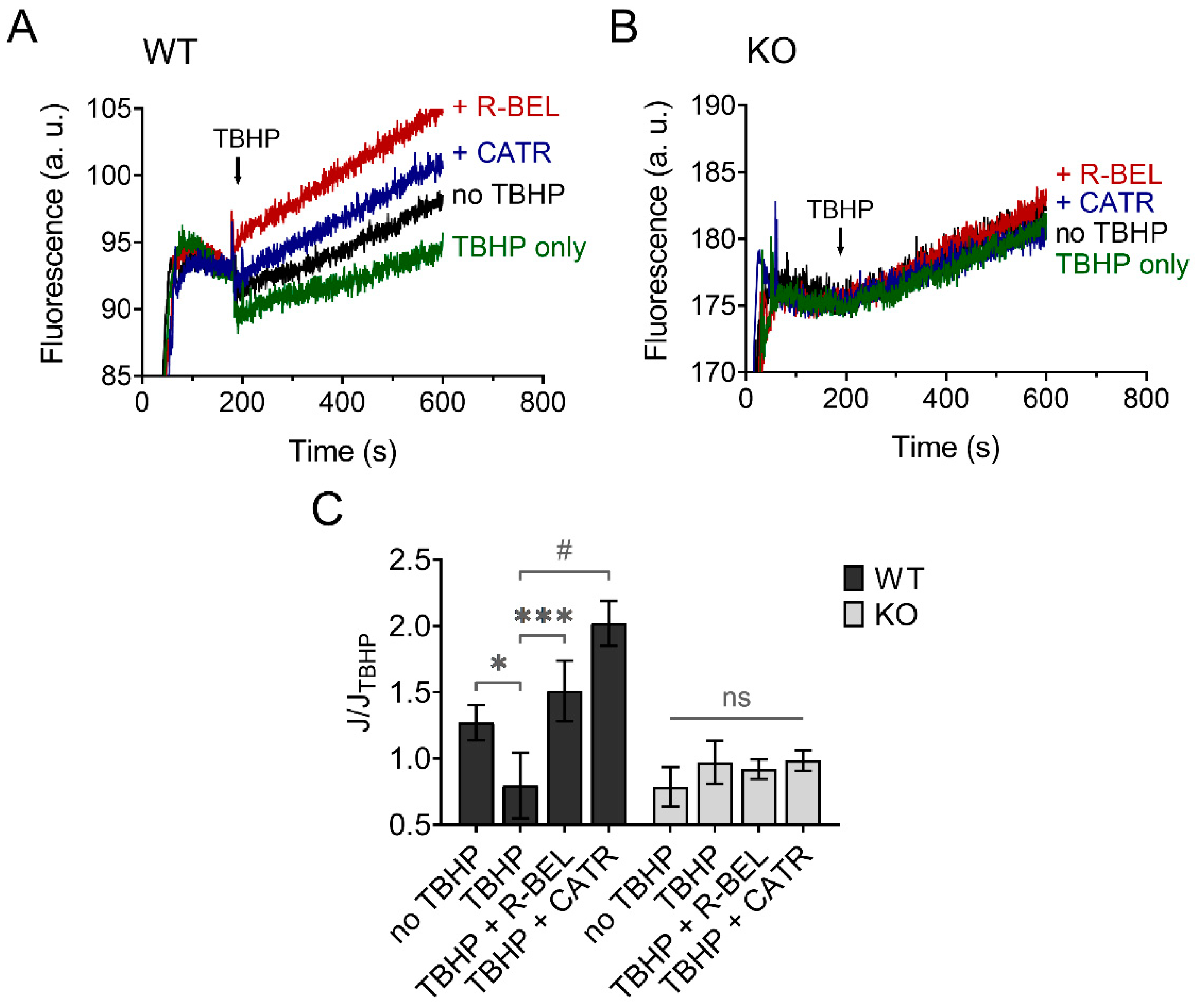 Antioxidants 11 00198 g007