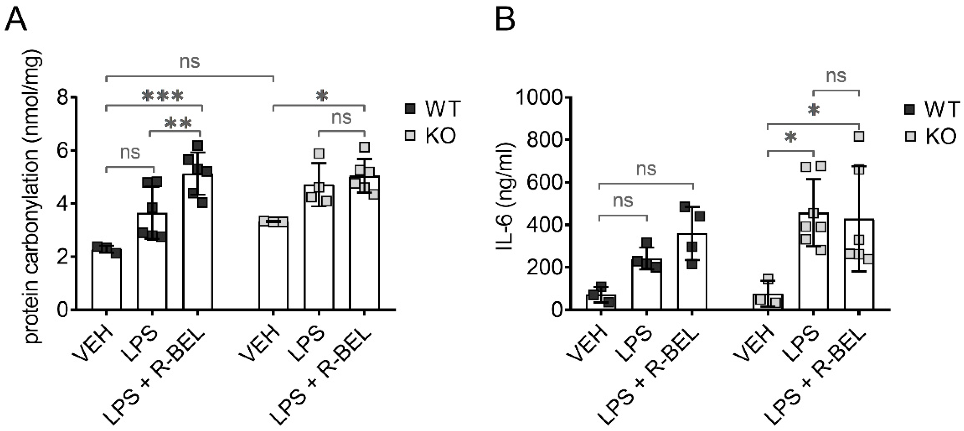 Antioxidants 11 00198 g009