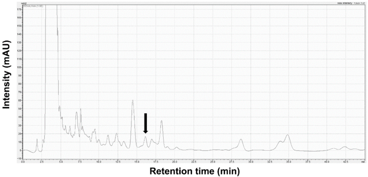 Antioxidants 11 00199 g001