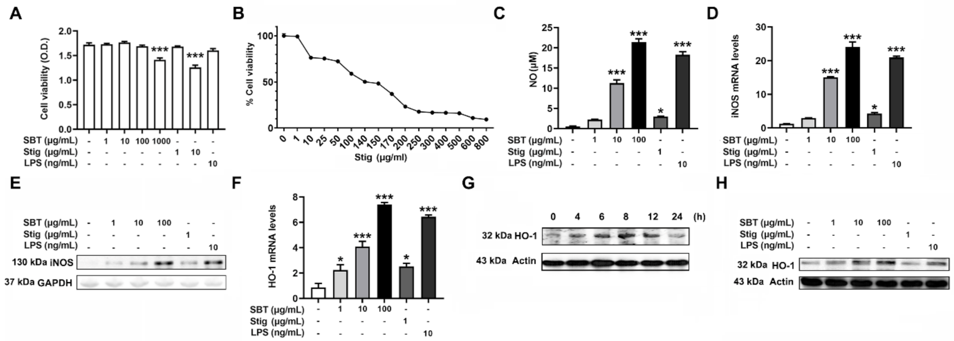 Antioxidants 11 00199 g002