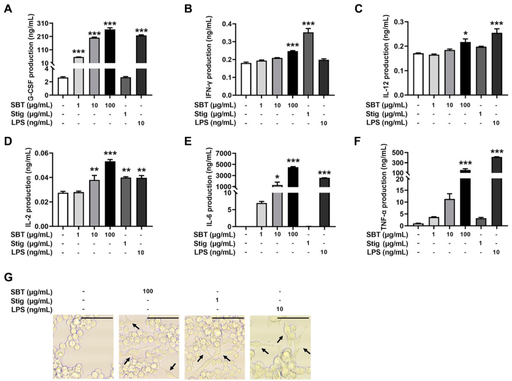 Antioxidants 11 00199 g003