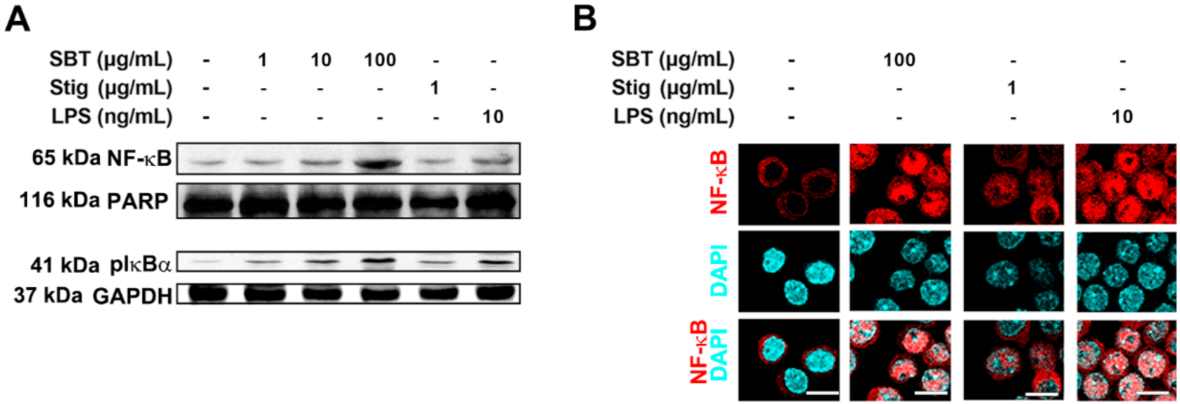 Antioxidants 11 00199 g004