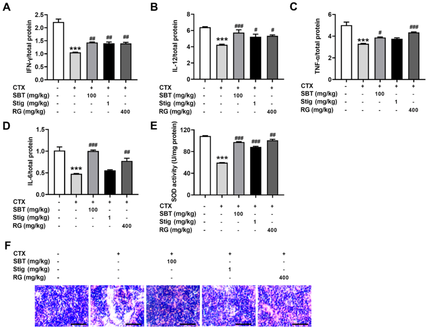 Antioxidants 11 00199 g008