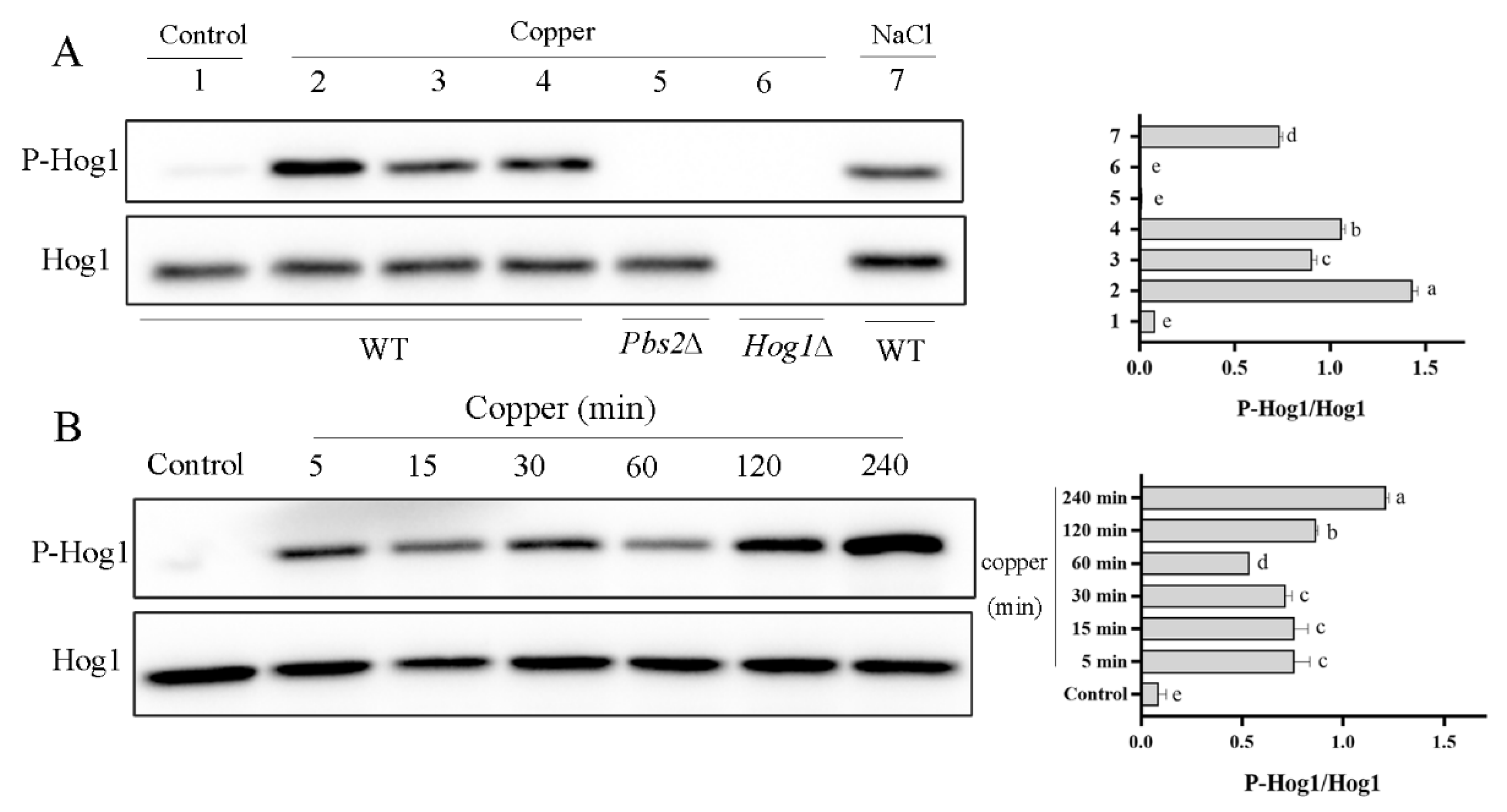 Antioxidants 11 00200 g003