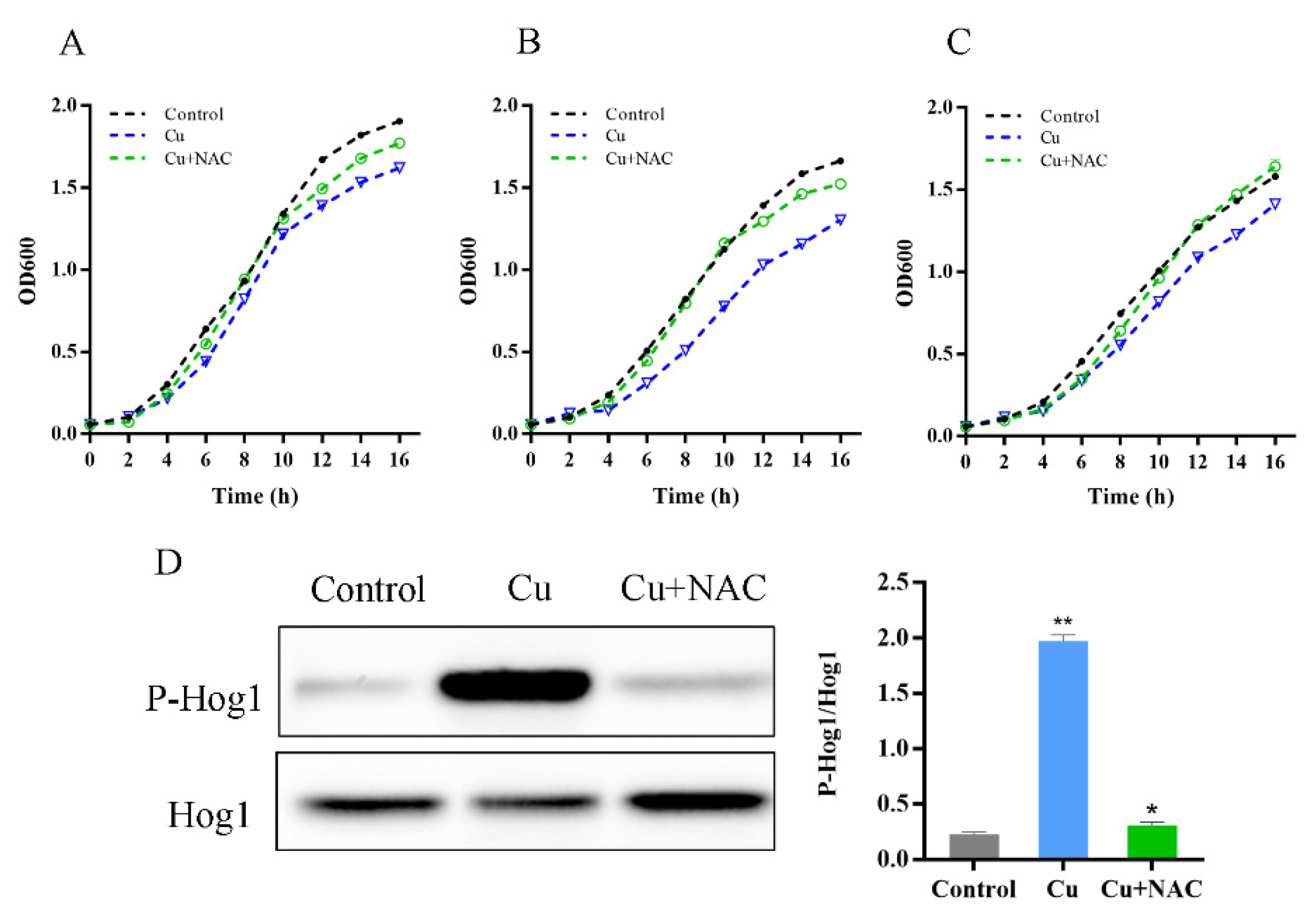 Antioxidants 11 00200 g004