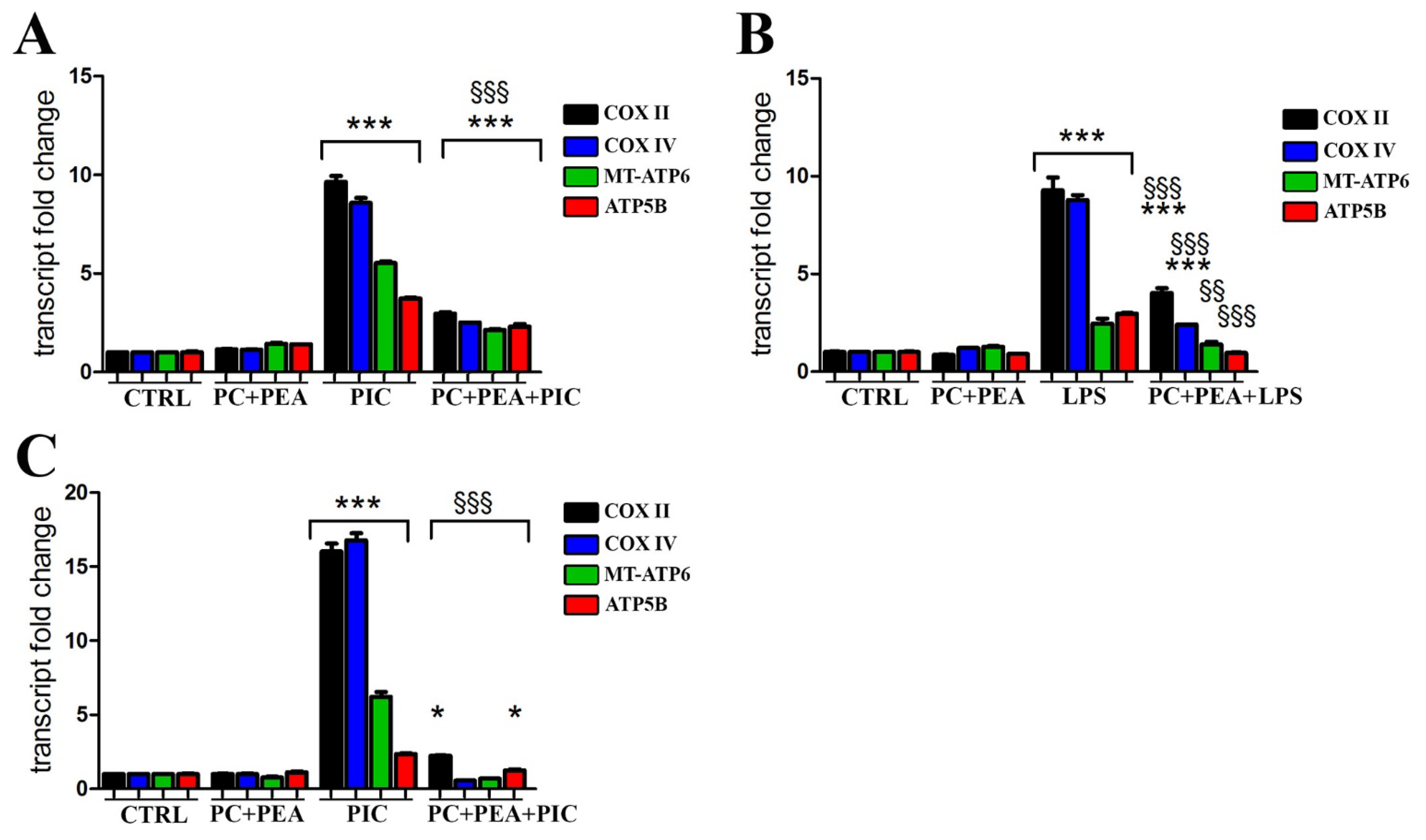 Antioxidants 11 00201 g005