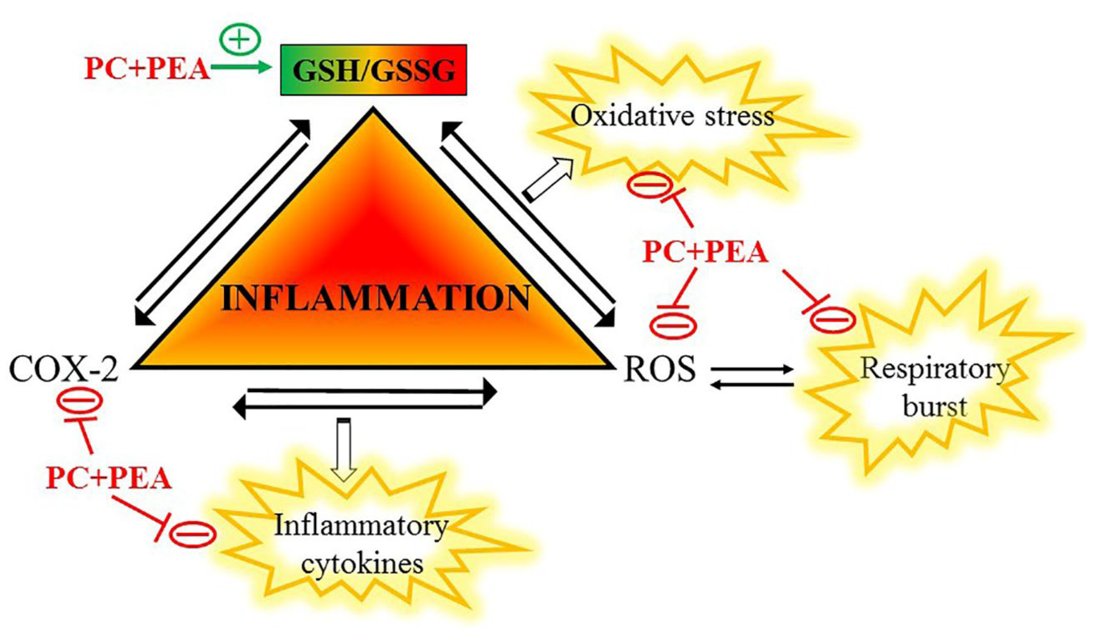 Antioxidants 11 00201 g006