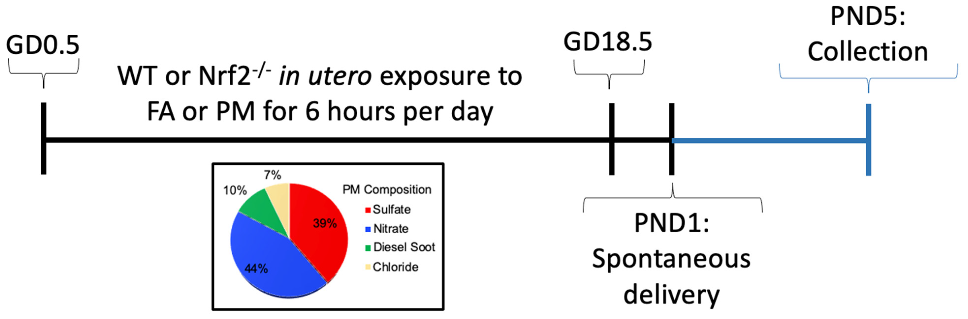 Antioxidants 11 00202 g001