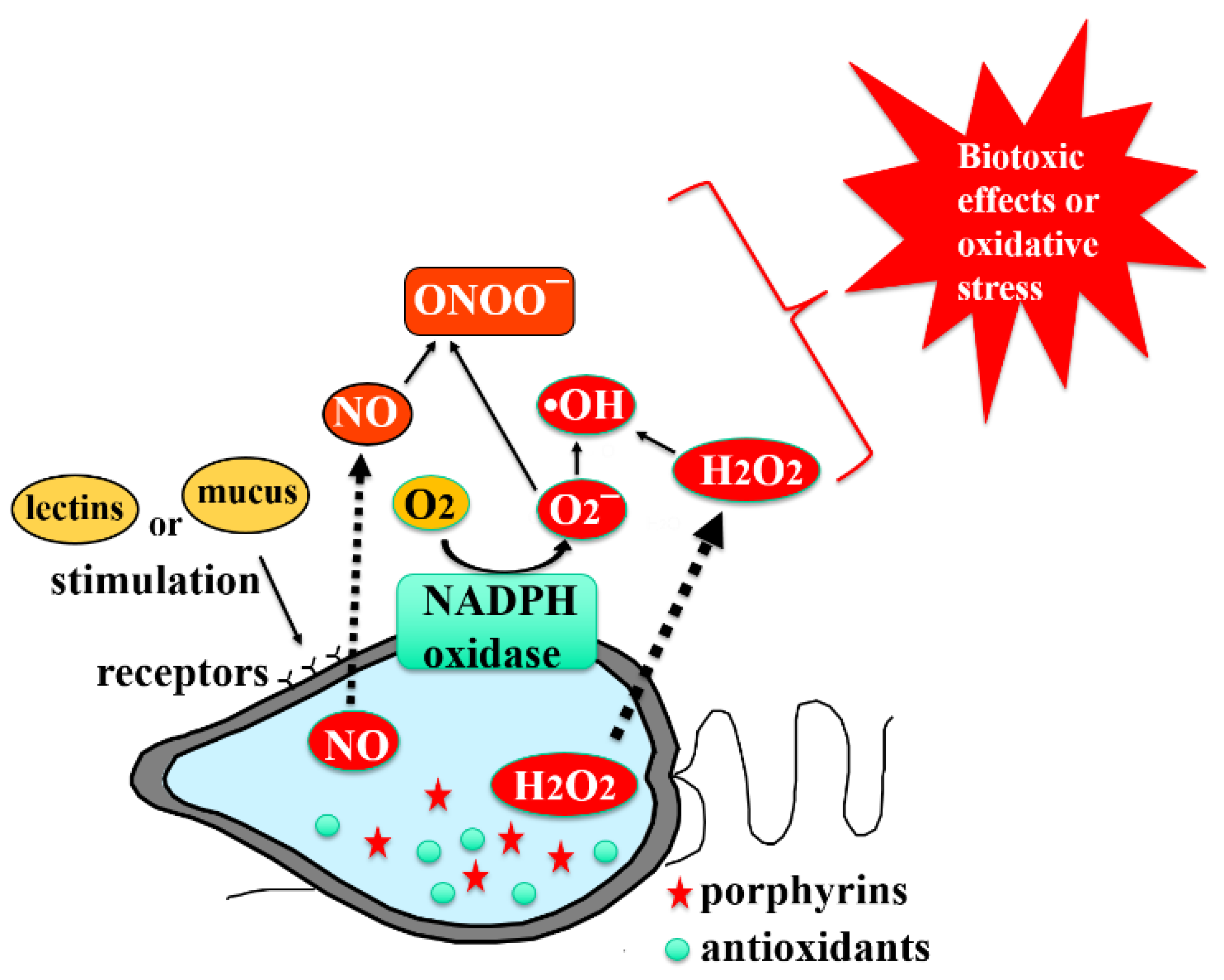 Antioxidants 11 00206 g001