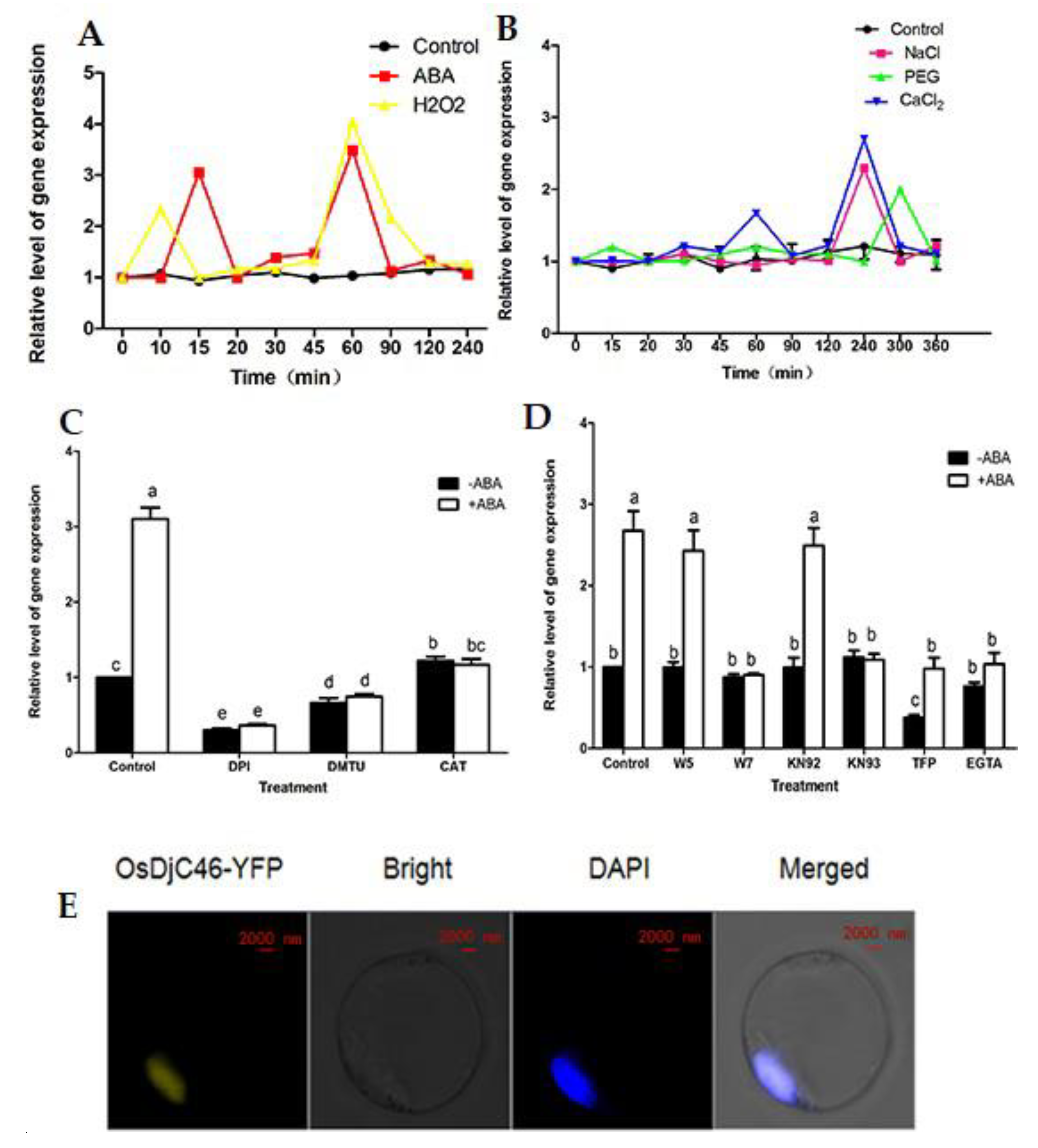 Antioxidants 11 00207 g002