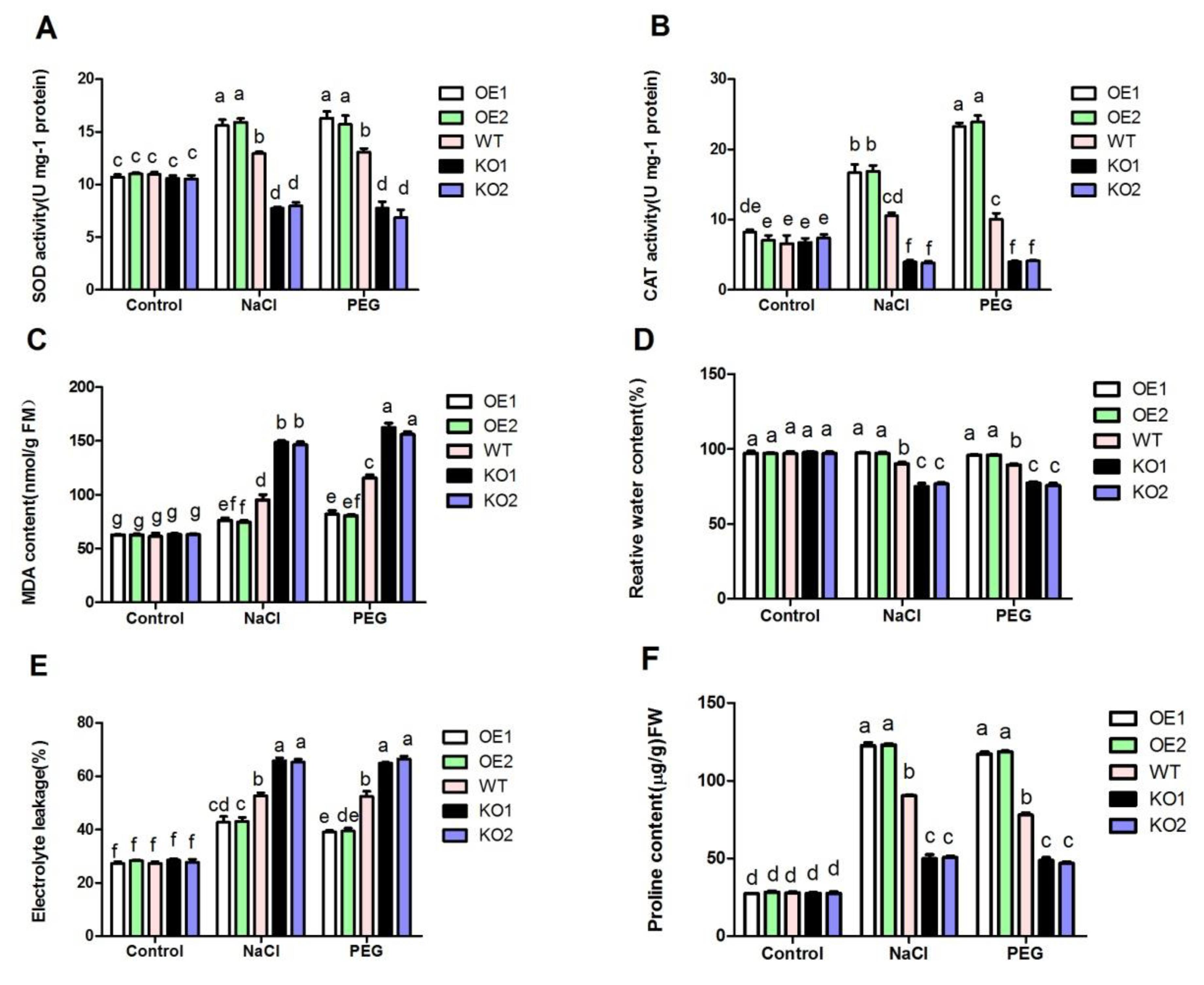 Antioxidants 11 00207 g003