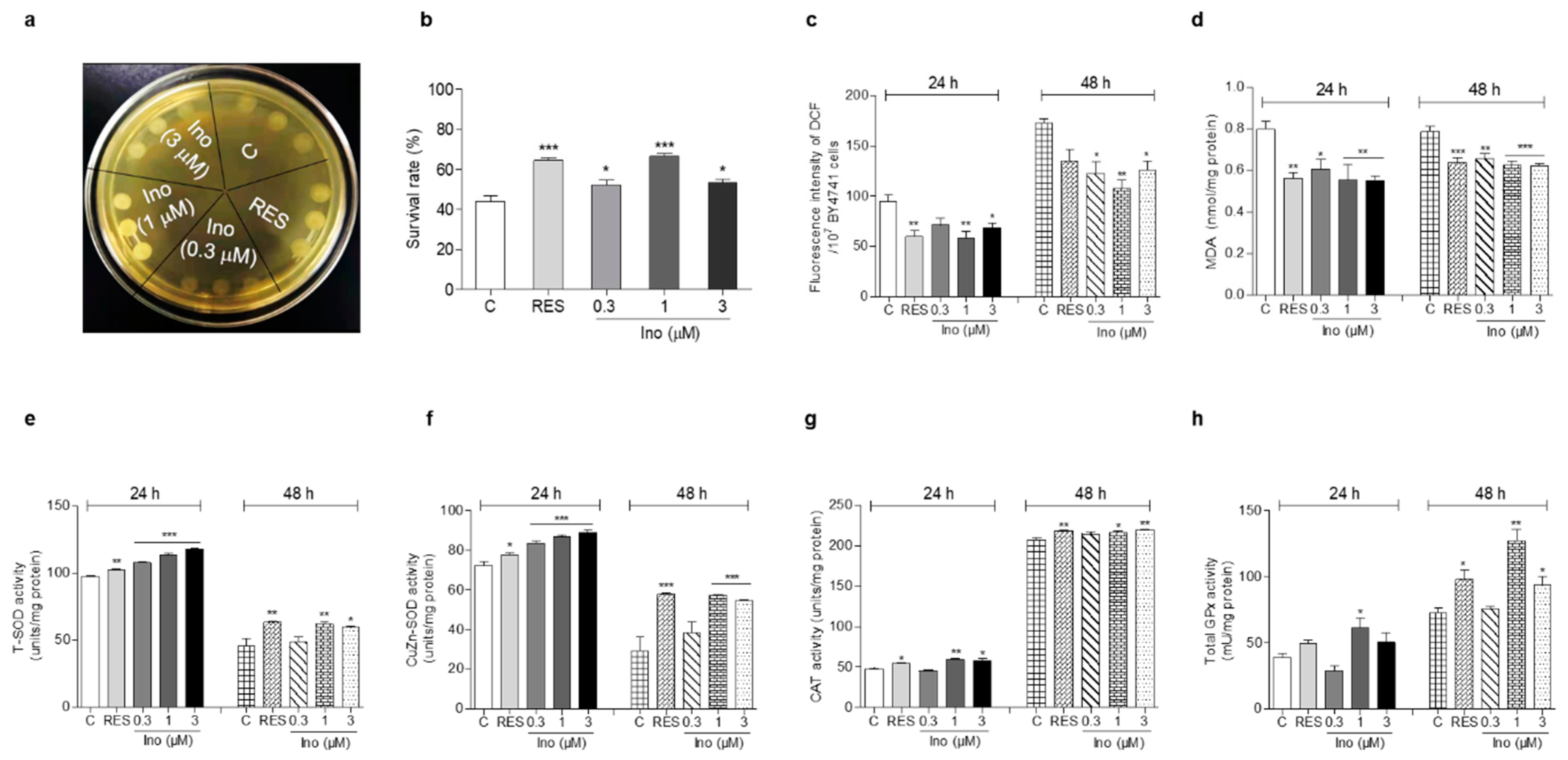 Antioxidants 11 00214 g002