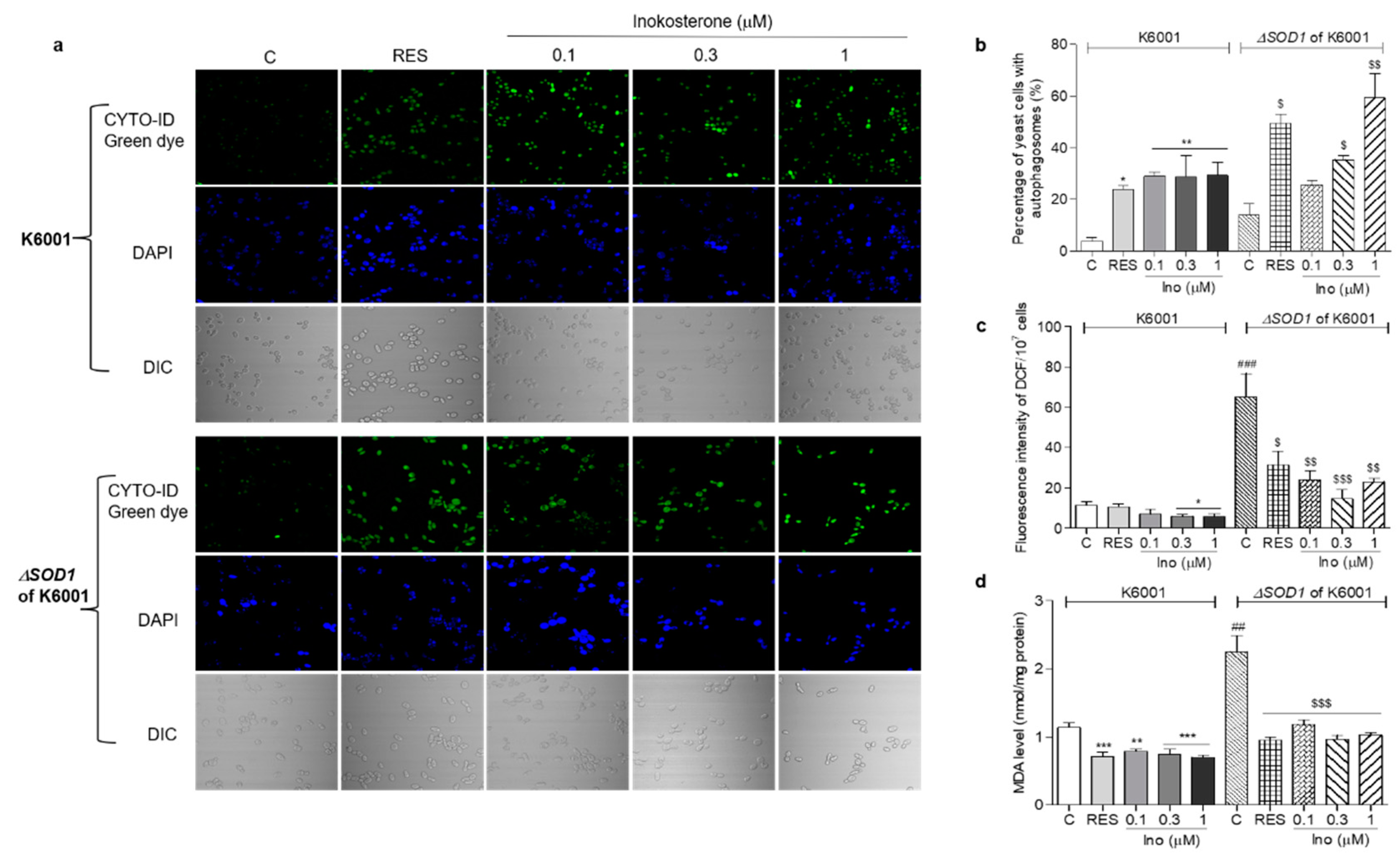 Antioxidants 11 00214 g008