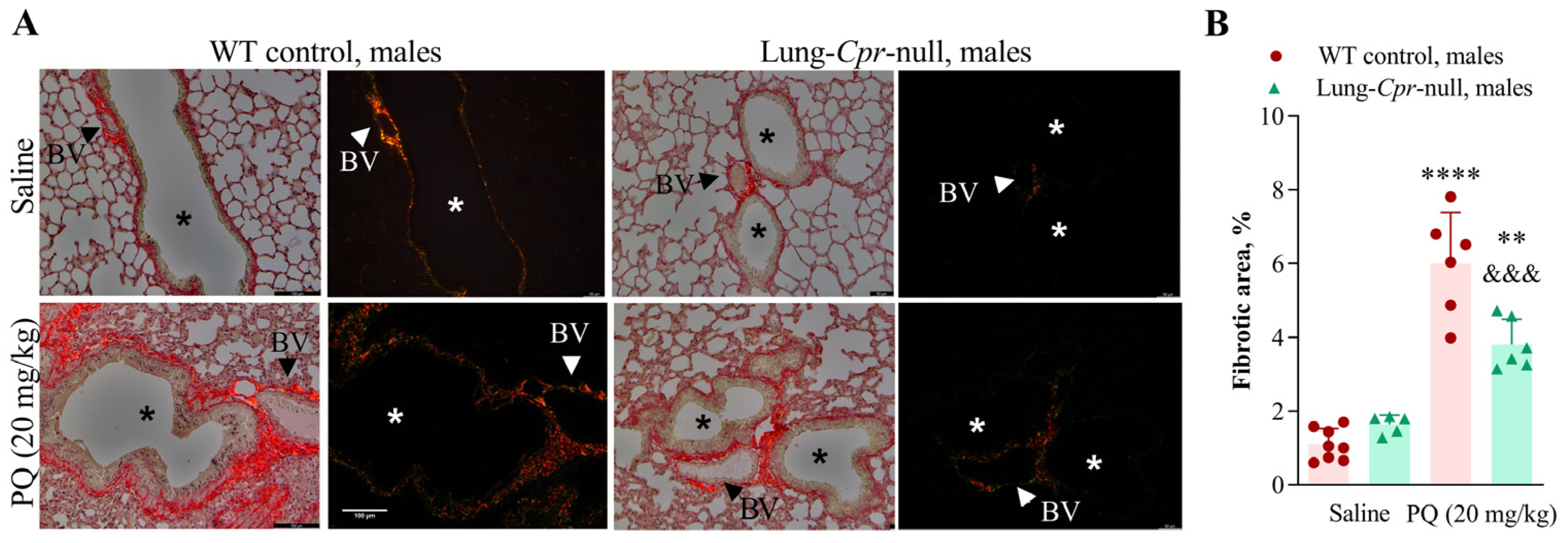 Antioxidants 11 00219 g003